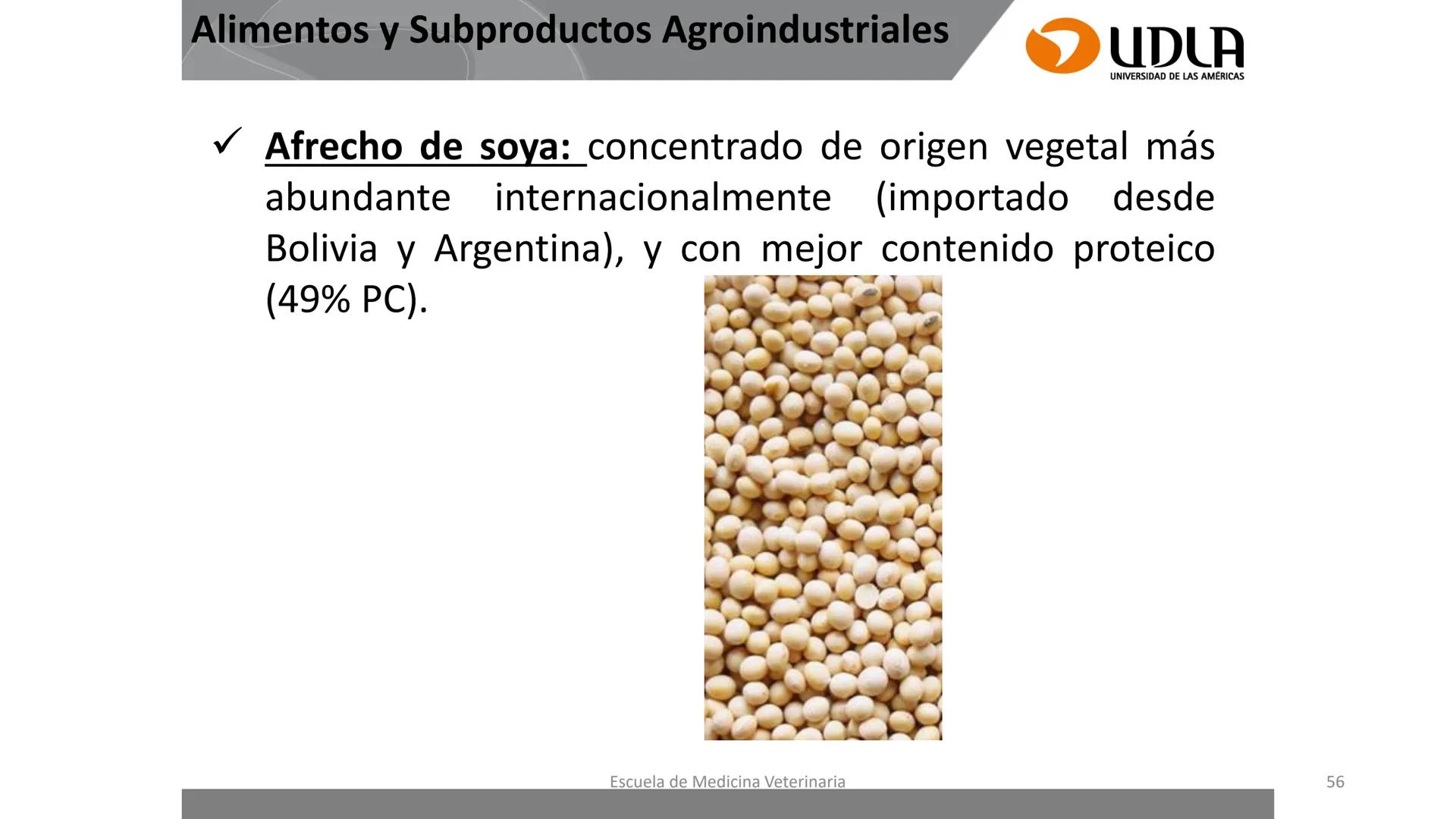 UDLA
UNIVERSIDAD DE LAS AMERICAS
Caracterización del Rebaño (Tipología,
Cronometría Dentaria y Condición Corporal)
Escuela de Medicina Ve
