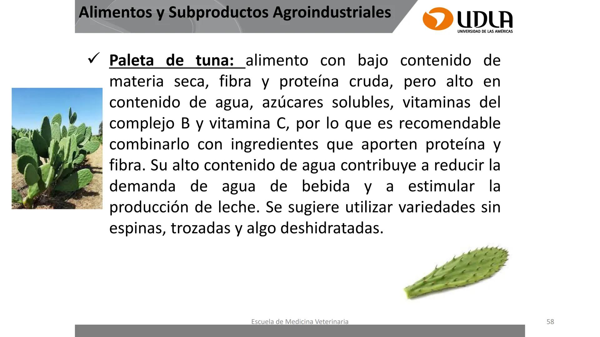 UDLA
UNIVERSIDAD DE LAS AMERICAS
Caracterización del Rebaño (Tipología,
Cronometría Dentaria y Condición Corporal)
Escuela de Medicina Ve