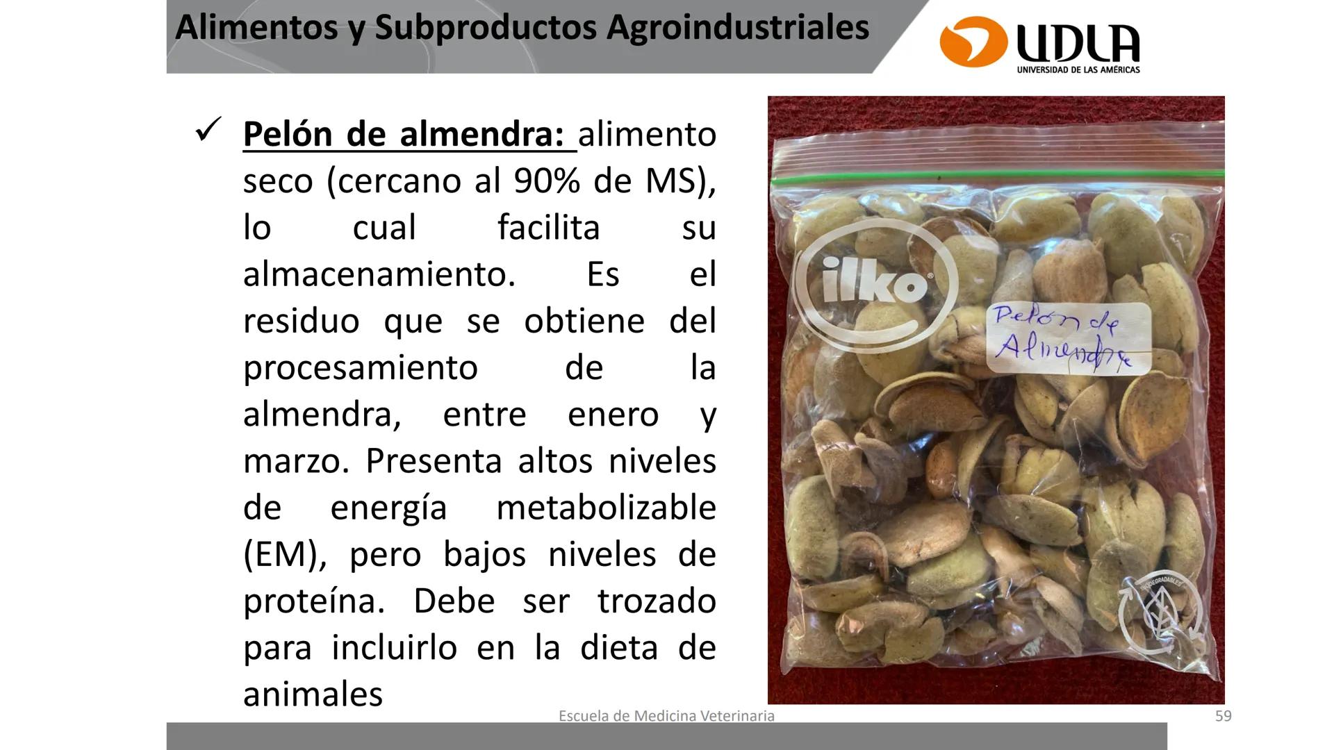 UDLA
UNIVERSIDAD DE LAS AMERICAS
Caracterización del Rebaño (Tipología,
Cronometría Dentaria y Condición Corporal)
Escuela de Medicina Ve