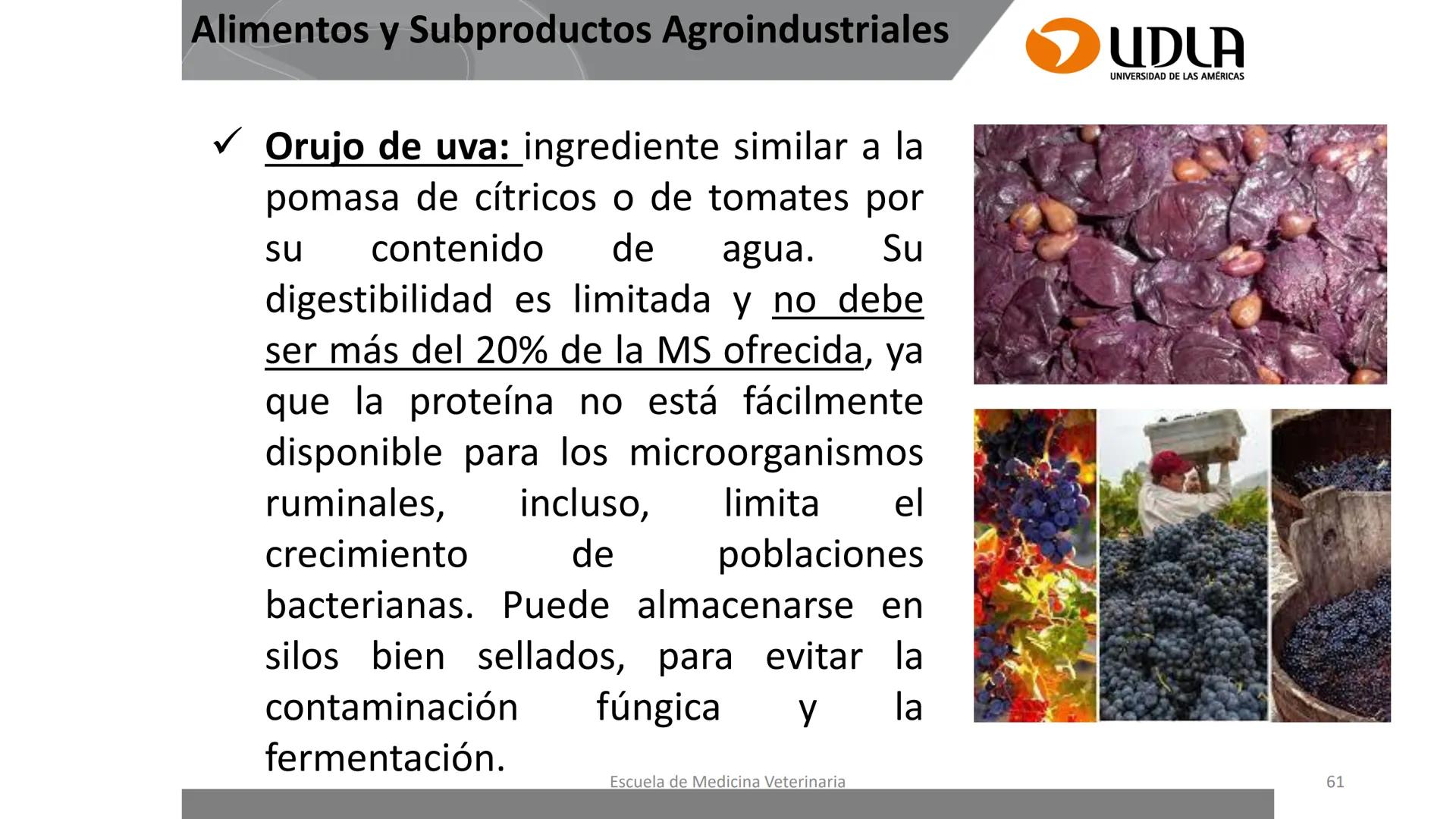 UDLA
UNIVERSIDAD DE LAS AMERICAS
Caracterización del Rebaño (Tipología,
Cronometría Dentaria y Condición Corporal)
Escuela de Medicina Ve