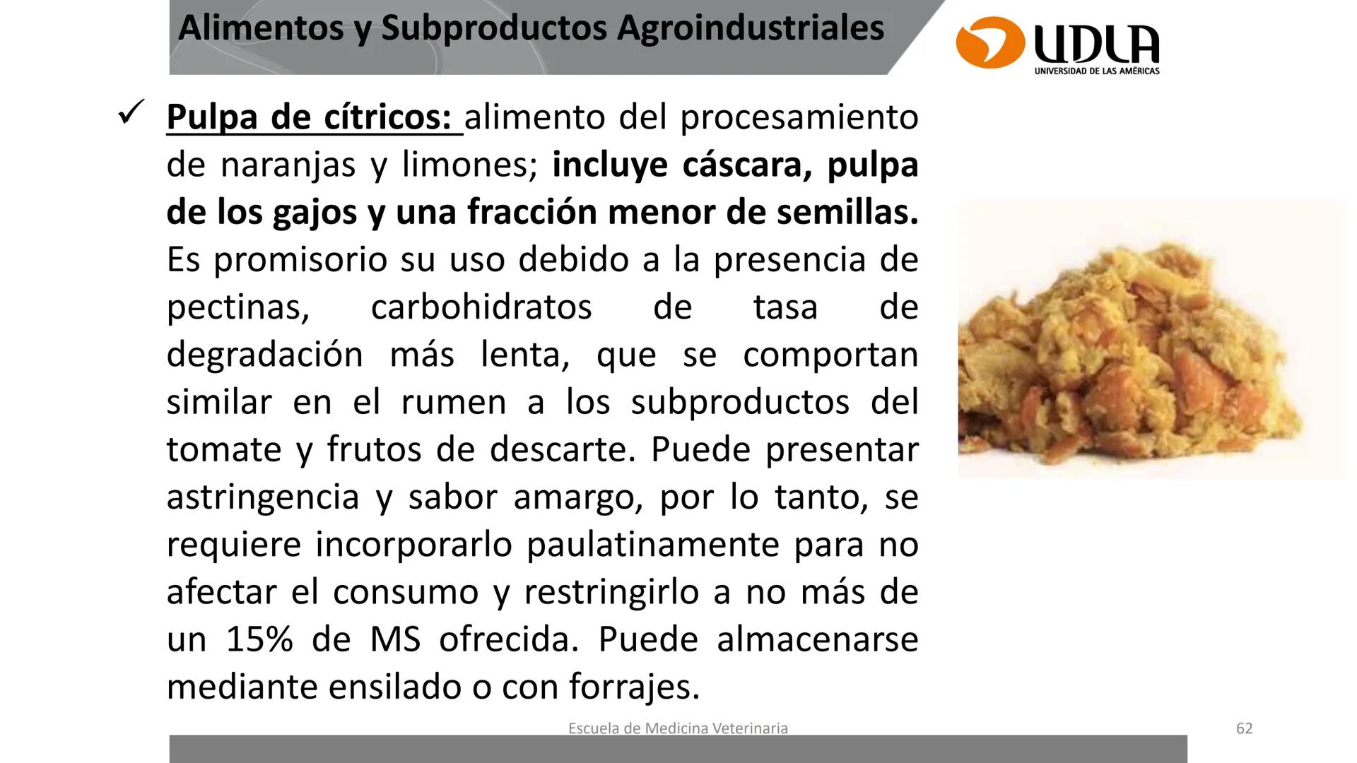 UDLA
UNIVERSIDAD DE LAS AMERICAS
Caracterización del Rebaño (Tipología,
Cronometría Dentaria y Condición Corporal)
Escuela de Medicina Ve