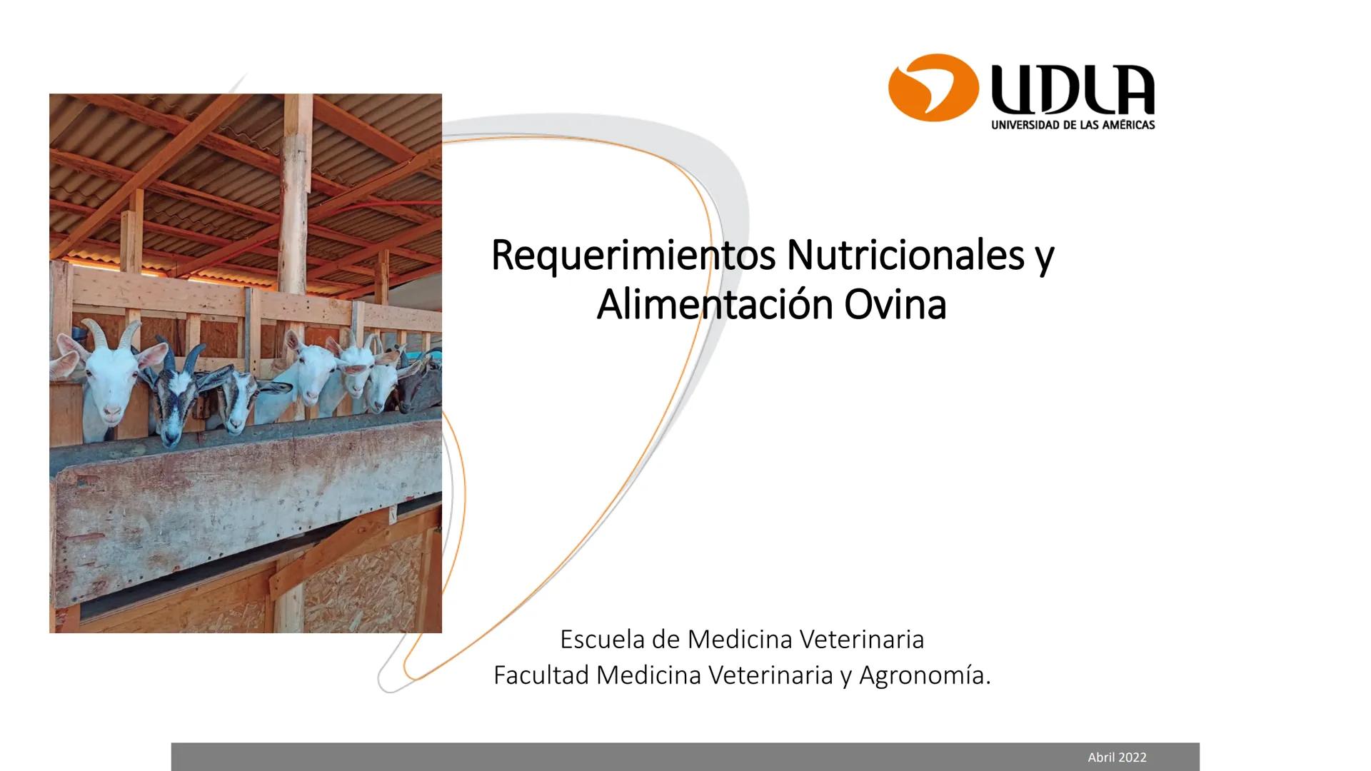 UDLA
UNIVERSIDAD DE LAS AMERICAS
Caracterización del Rebaño (Tipología,
Cronometría Dentaria y Condición Corporal)
Escuela de Medicina Ve