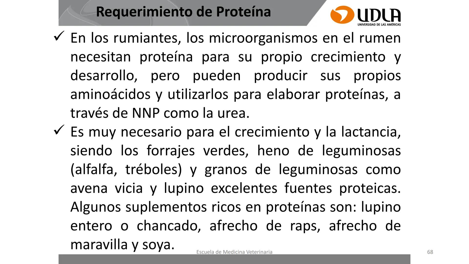UDLA
UNIVERSIDAD DE LAS AMERICAS
Caracterización del Rebaño (Tipología,
Cronometría Dentaria y Condición Corporal)
Escuela de Medicina Ve