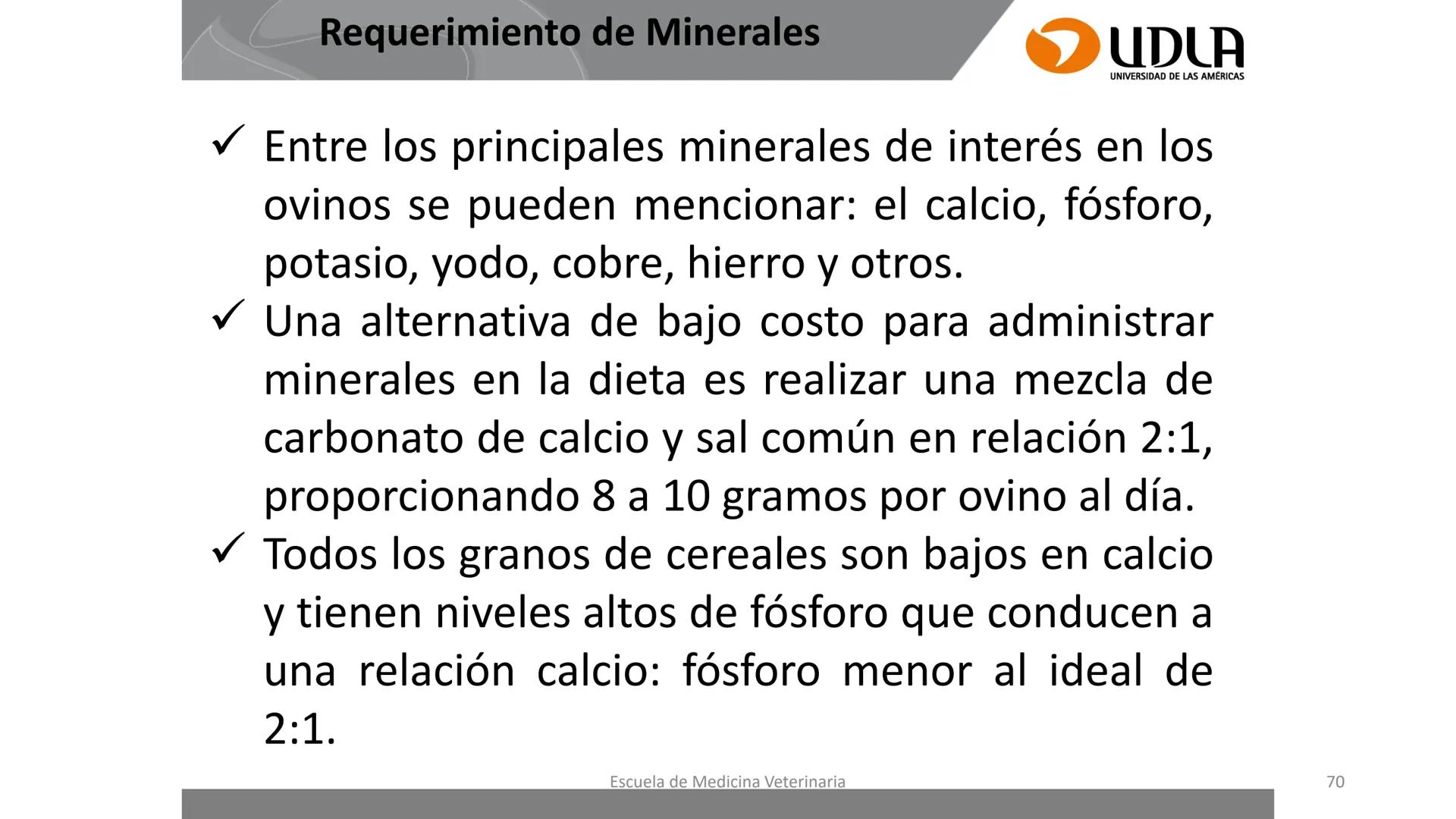 UDLA
UNIVERSIDAD DE LAS AMERICAS
Caracterización del Rebaño (Tipología,
Cronometría Dentaria y Condición Corporal)
Escuela de Medicina Ve