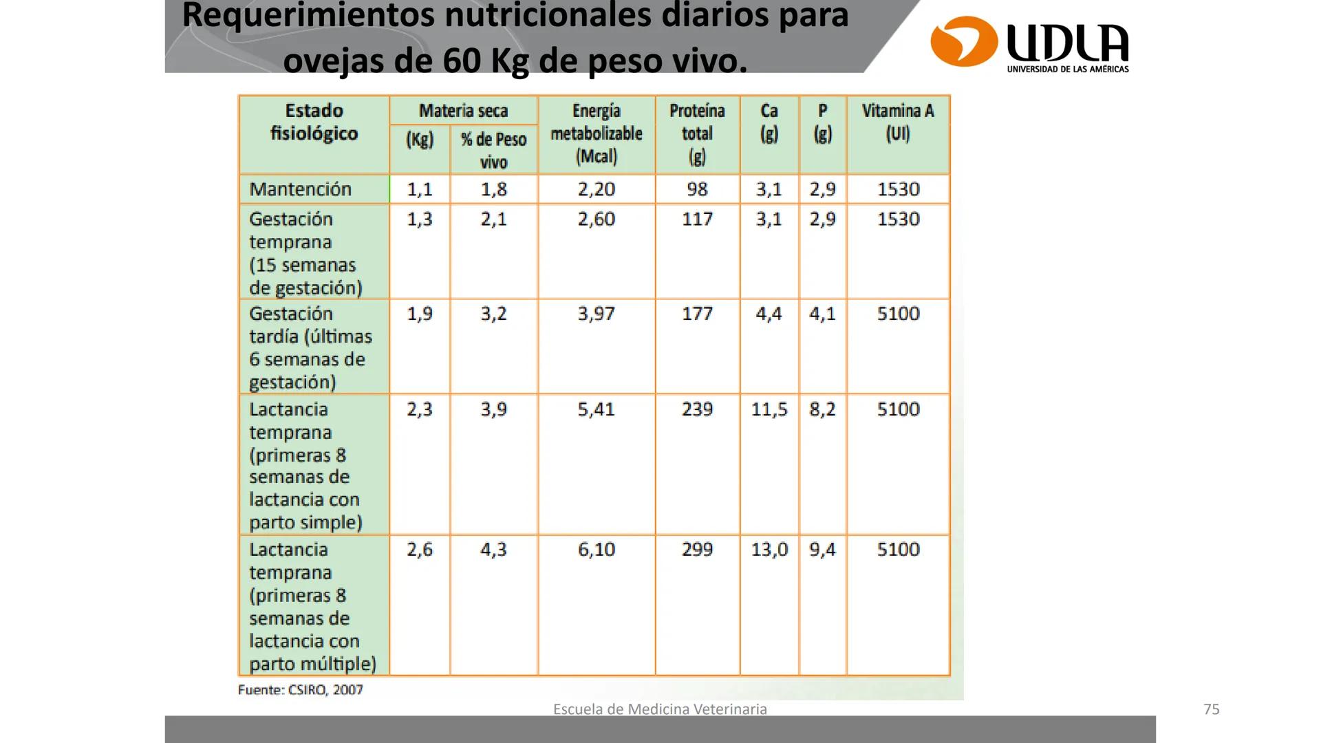 UDLA
UNIVERSIDAD DE LAS AMERICAS
Caracterización del Rebaño (Tipología,
Cronometría Dentaria y Condición Corporal)
Escuela de Medicina Ve