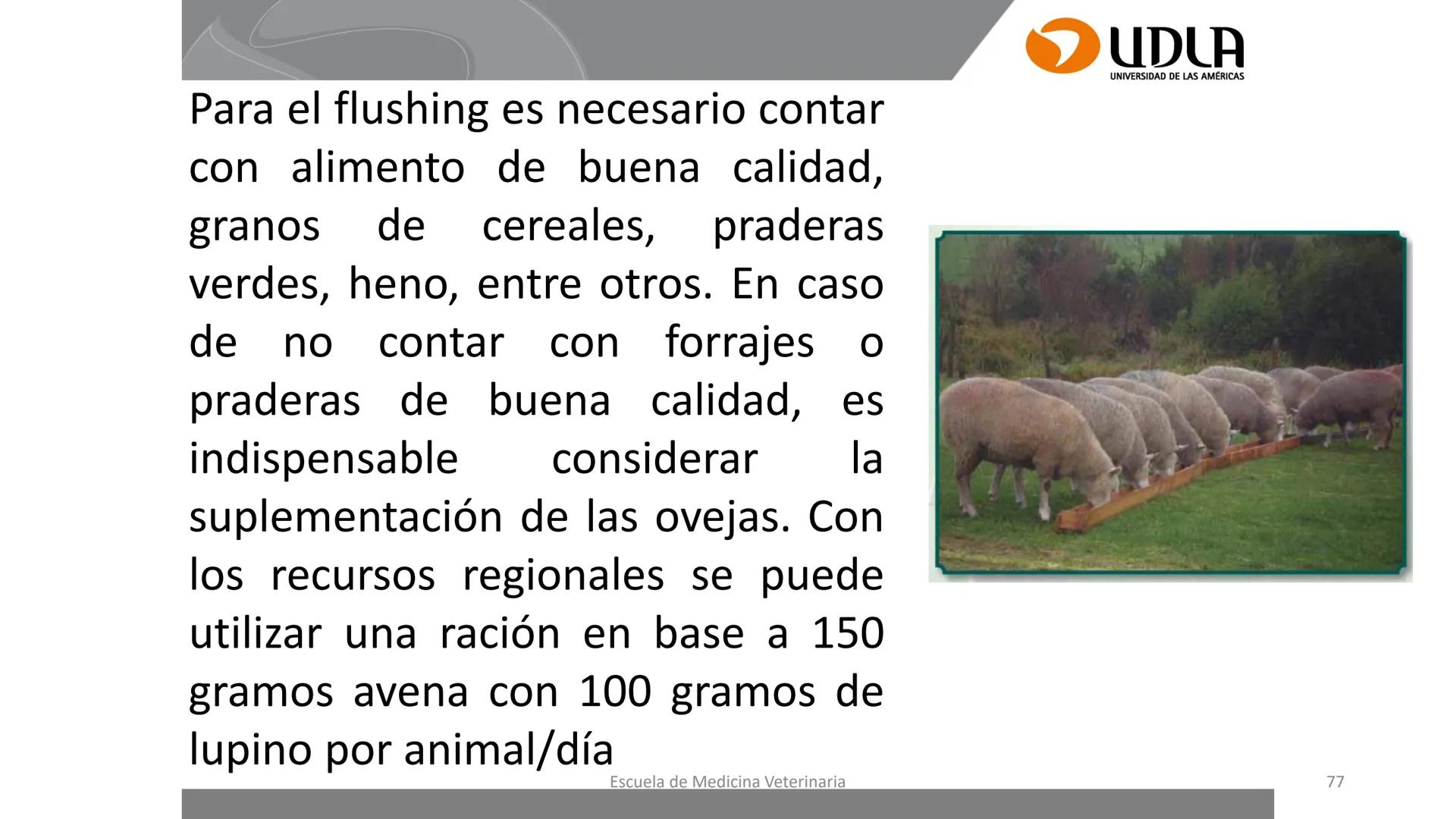 UDLA
UNIVERSIDAD DE LAS AMERICAS
Caracterización del Rebaño (Tipología,
Cronometría Dentaria y Condición Corporal)
Escuela de Medicina Ve