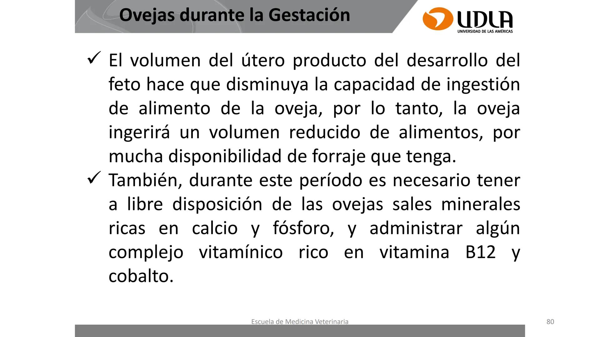 UDLA
UNIVERSIDAD DE LAS AMERICAS
Caracterización del Rebaño (Tipología,
Cronometría Dentaria y Condición Corporal)
Escuela de Medicina Ve