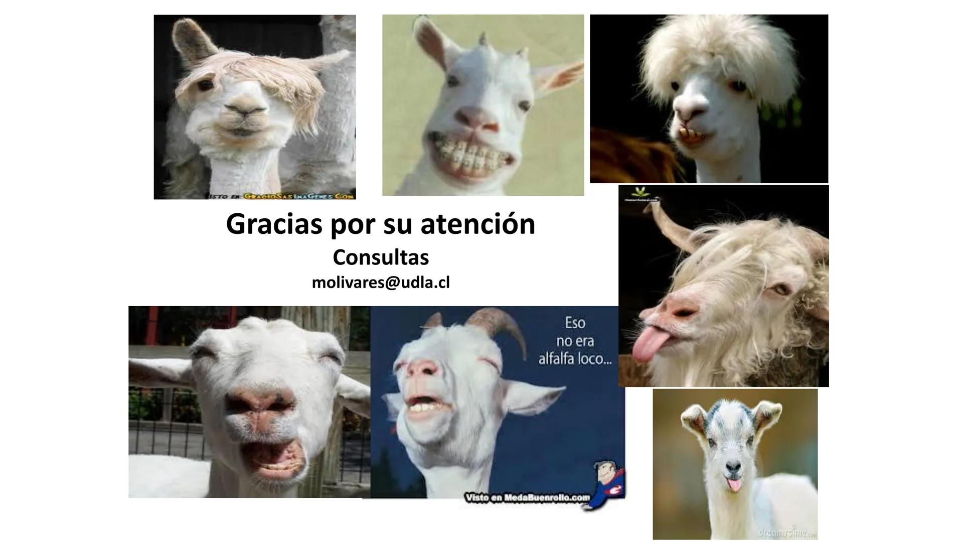 UDLA
UNIVERSIDAD DE LAS AMERICAS
Caracterización del Rebaño (Tipología,
Cronometría Dentaria y Condición Corporal)
Escuela de Medicina Ve