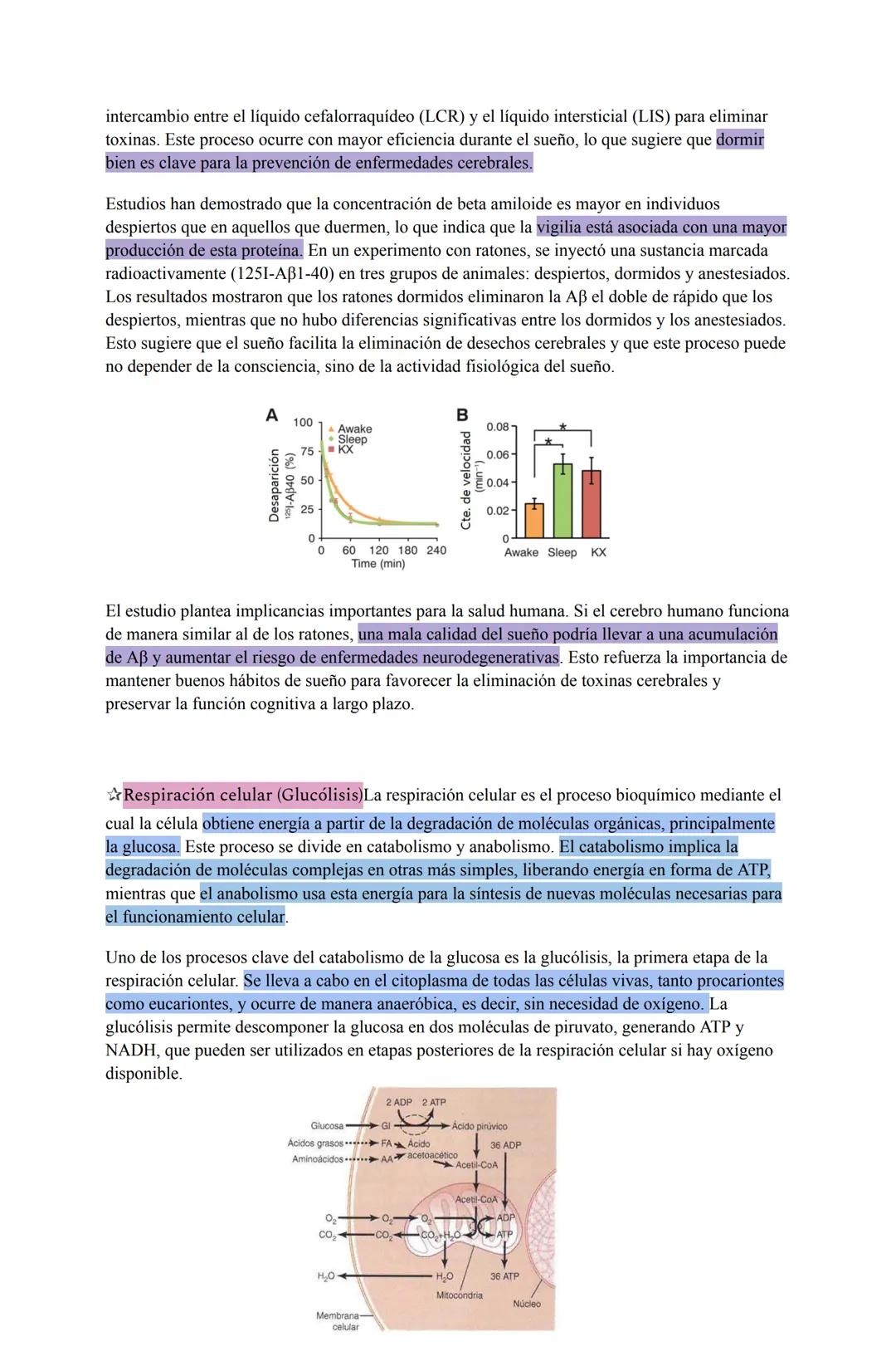 # Ciencias para la salud (28/03/25)
Salud, sociedad y estilos de vida
La salud no es solo la ausencia de enfermedad, sino un estado de bie