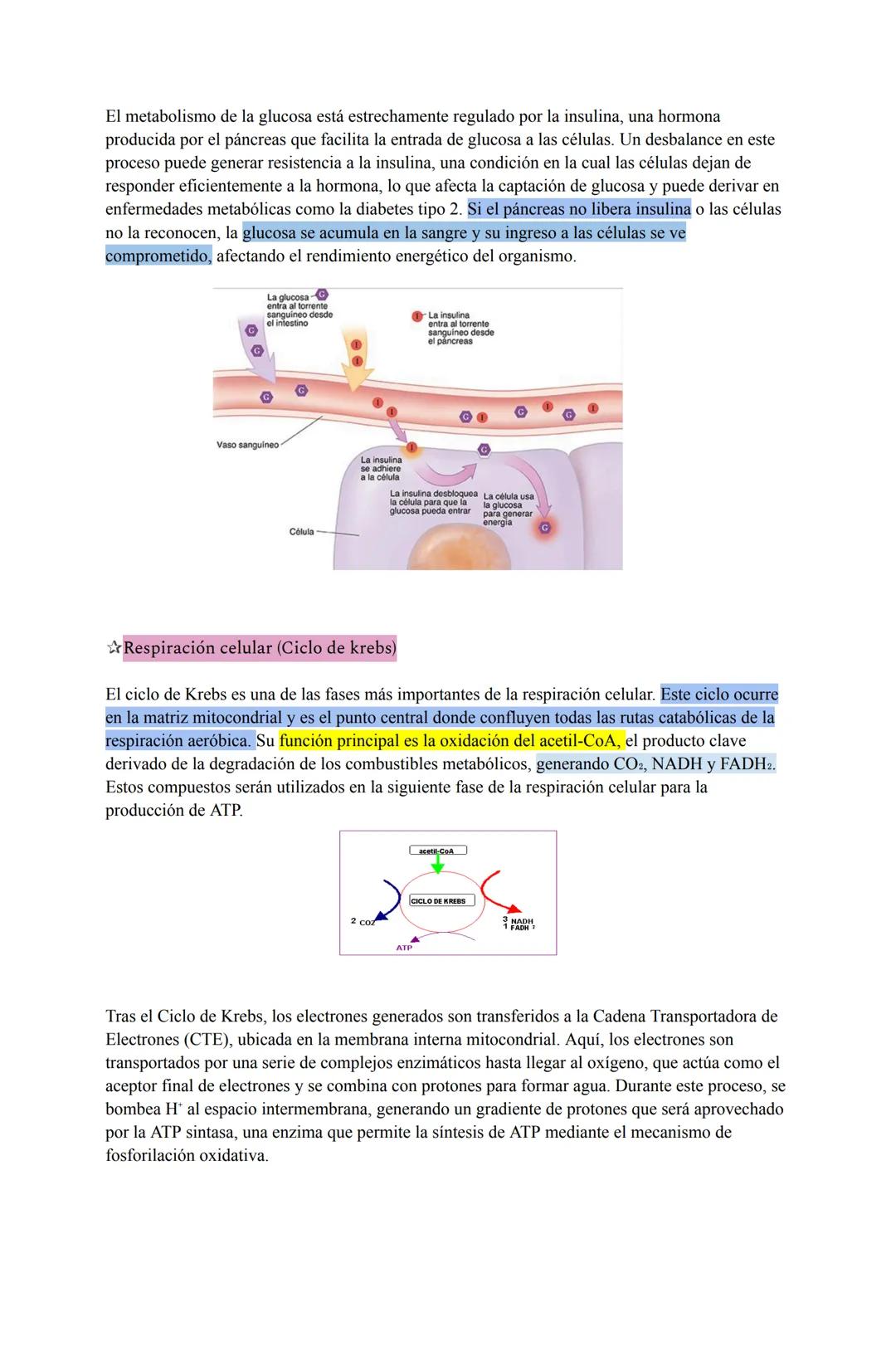 # Ciencias para la salud (28/03/25)
Salud, sociedad y estilos de vida
La salud no es solo la ausencia de enfermedad, sino un estado de bie