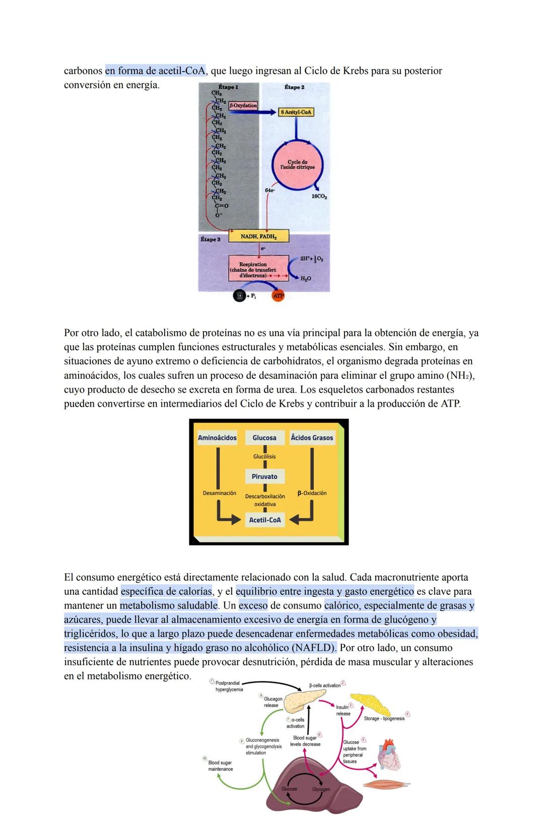 # Ciencias para la salud (28/03/25)
Salud, sociedad y estilos de vida
La salud no es solo la ausencia de enfermedad, sino un estado de bie