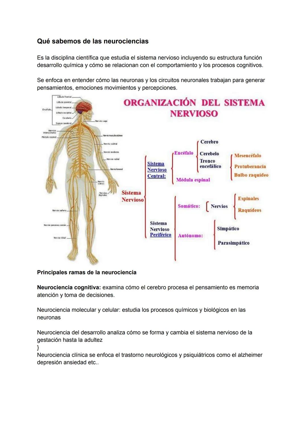 Qué sabemos de las neurociencias
Es la disciplina científica que estudia el sistema nervioso incluyendo su estructura función
desarrollo quí