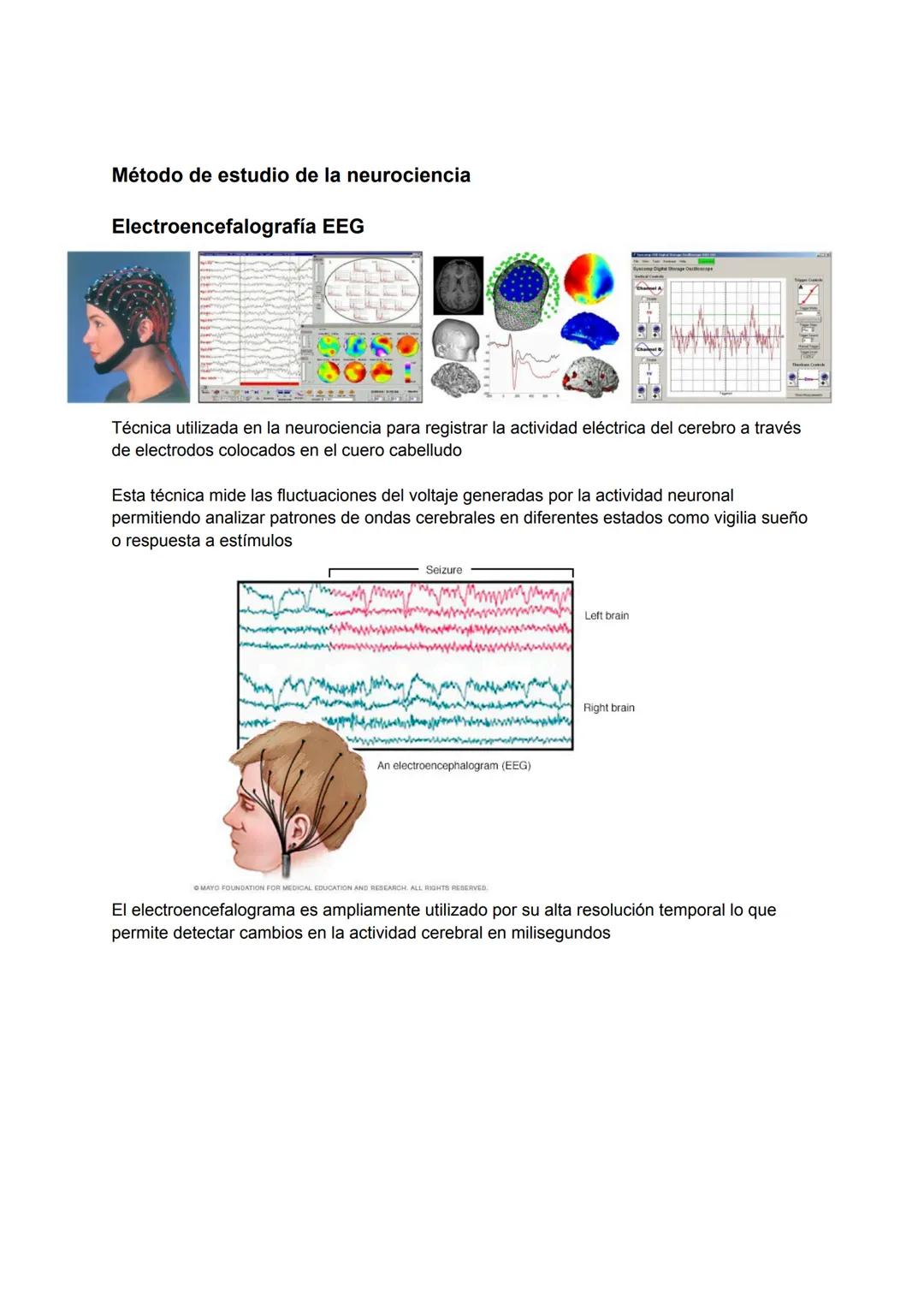 Qué sabemos de las neurociencias
Es la disciplina científica que estudia el sistema nervioso incluyendo su estructura función
desarrollo quí