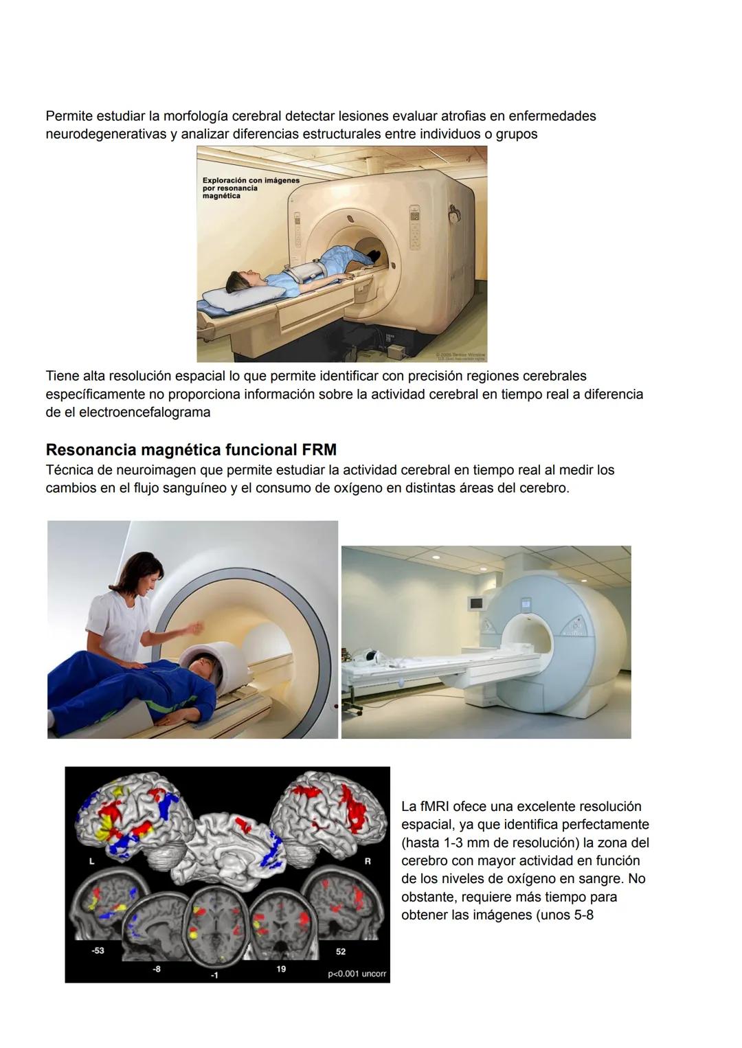 Qué sabemos de las neurociencias
Es la disciplina científica que estudia el sistema nervioso incluyendo su estructura función
desarrollo quí