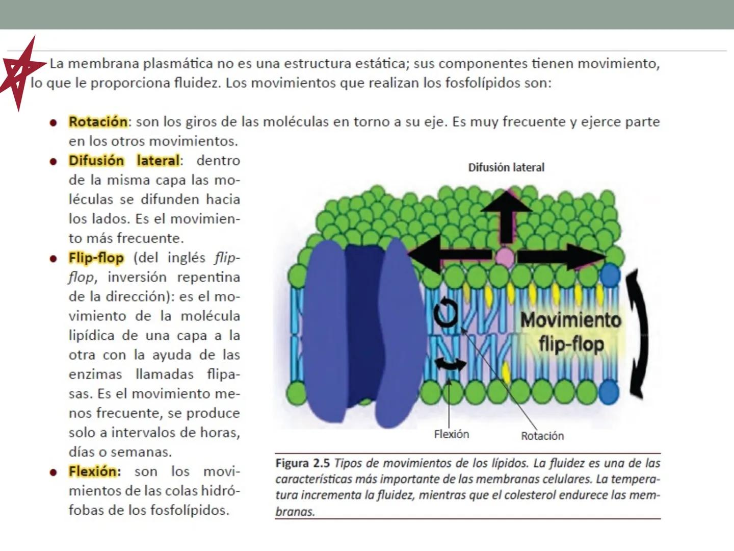 # OBJETIVOS CLASE N° 3
- Describir y explicar las principales características que definen a los células vivas.
- Identificar los principal