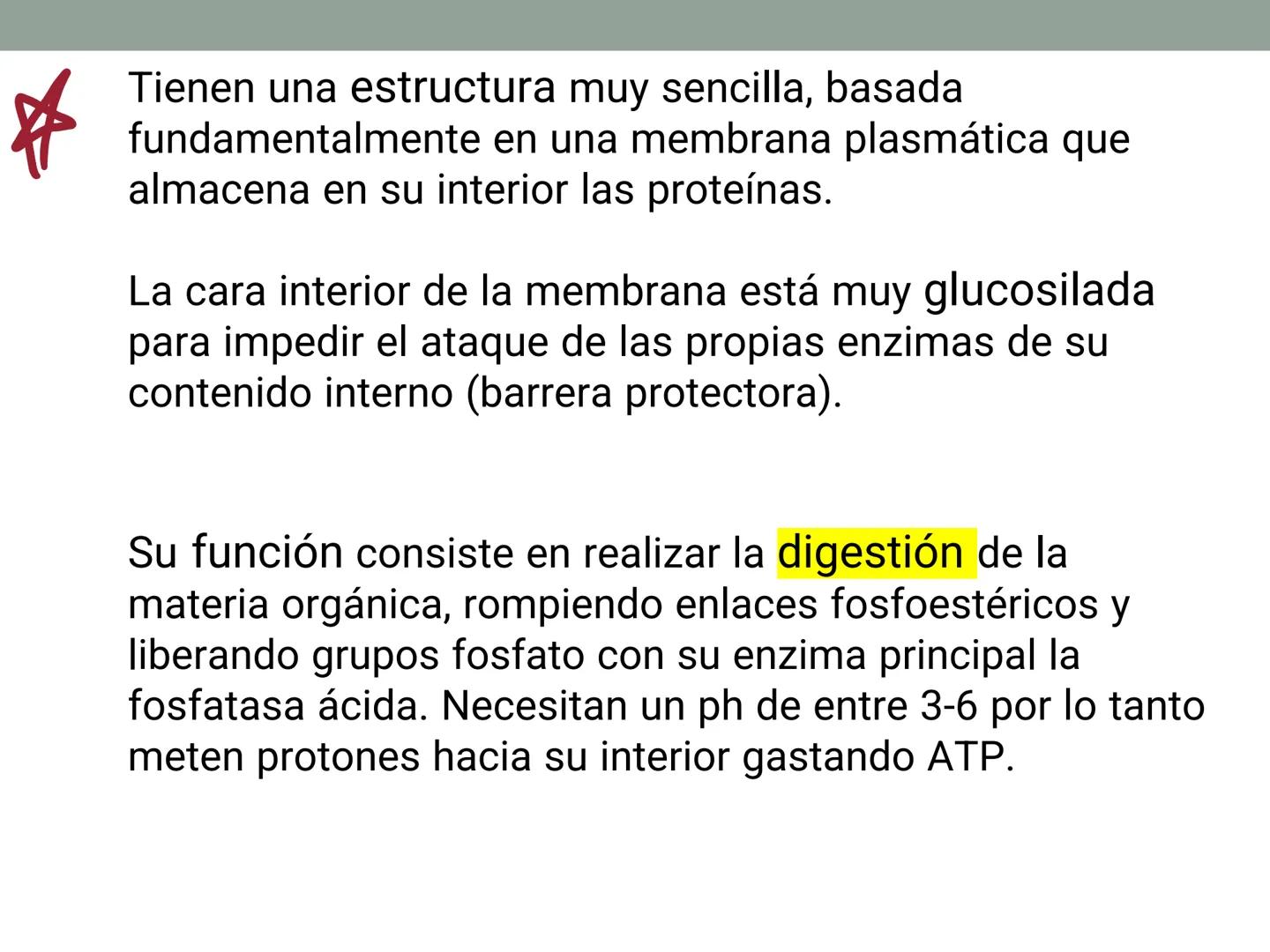 # OBJETIVOS CLASE N° 3
- Describir y explicar las principales características que definen a los células vivas.
- Identificar los principal