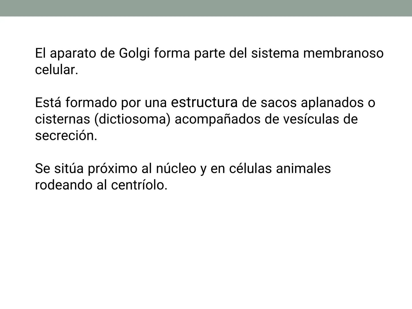 # OBJETIVOS CLASE N° 3
- Describir y explicar las principales características que definen a los células vivas.
- Identificar los principal