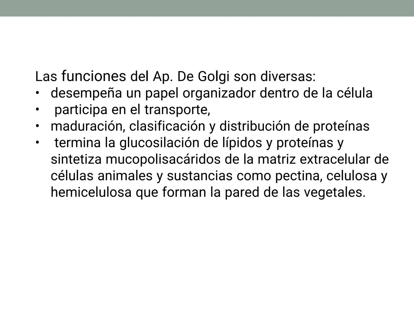 # OBJETIVOS CLASE N° 3
- Describir y explicar las principales características que definen a los células vivas.
- Identificar los principal