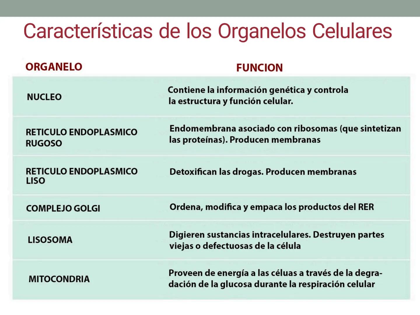 # OBJETIVOS CLASE N° 3
- Describir y explicar las principales características que definen a los células vivas.
- Identificar los principal