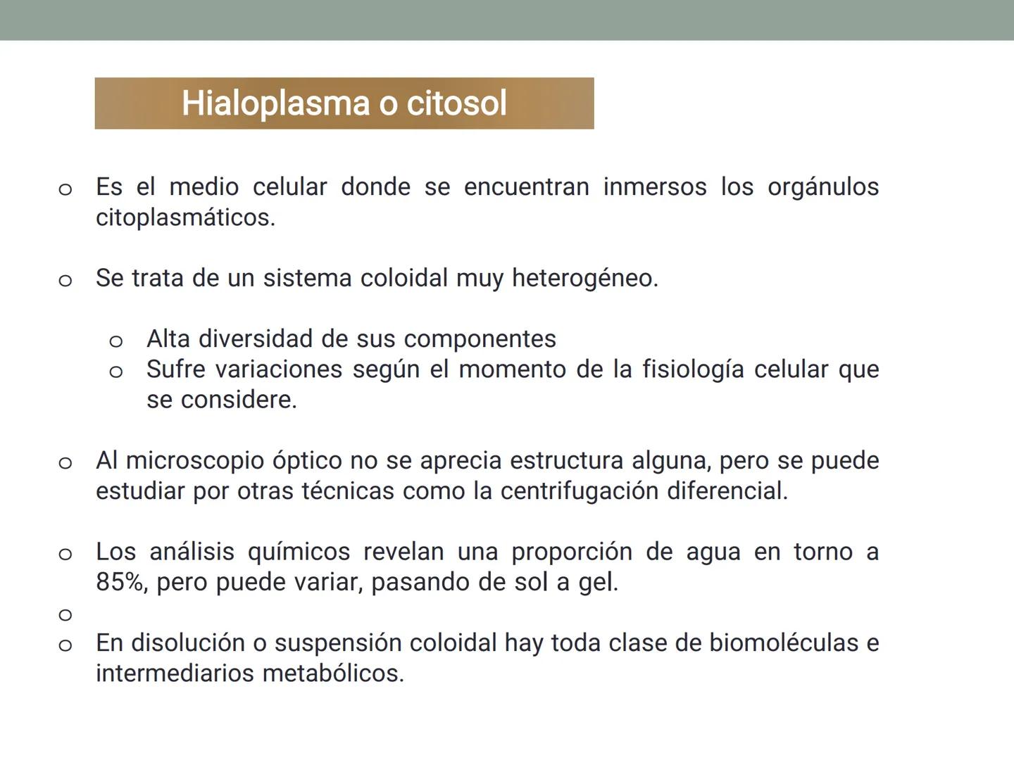 # OBJETIVOS CLASE N° 3
- Describir y explicar las principales características que definen a los células vivas.
- Identificar los principal