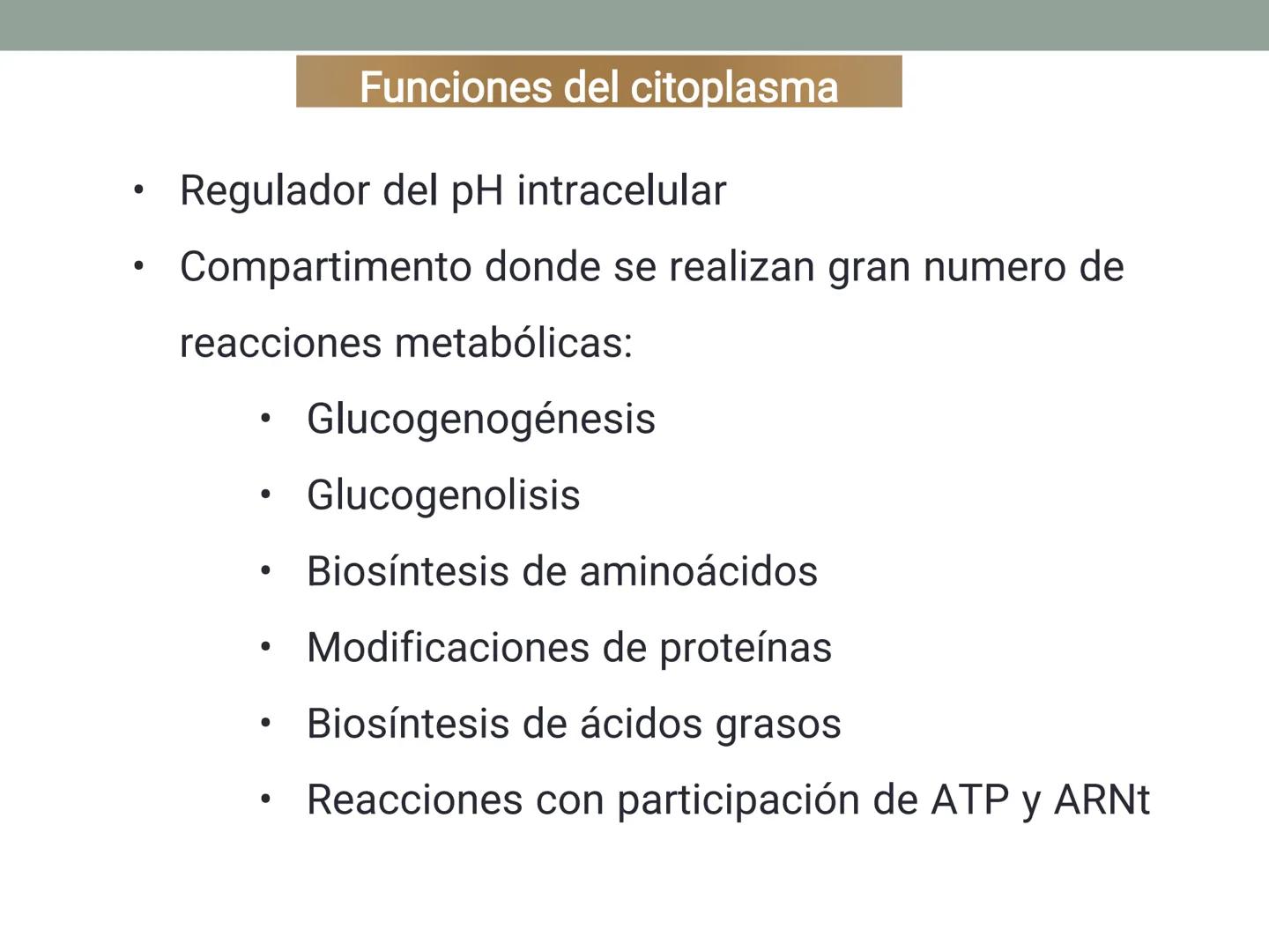 # OBJETIVOS CLASE N° 3
- Describir y explicar las principales características que definen a los células vivas.
- Identificar los principal