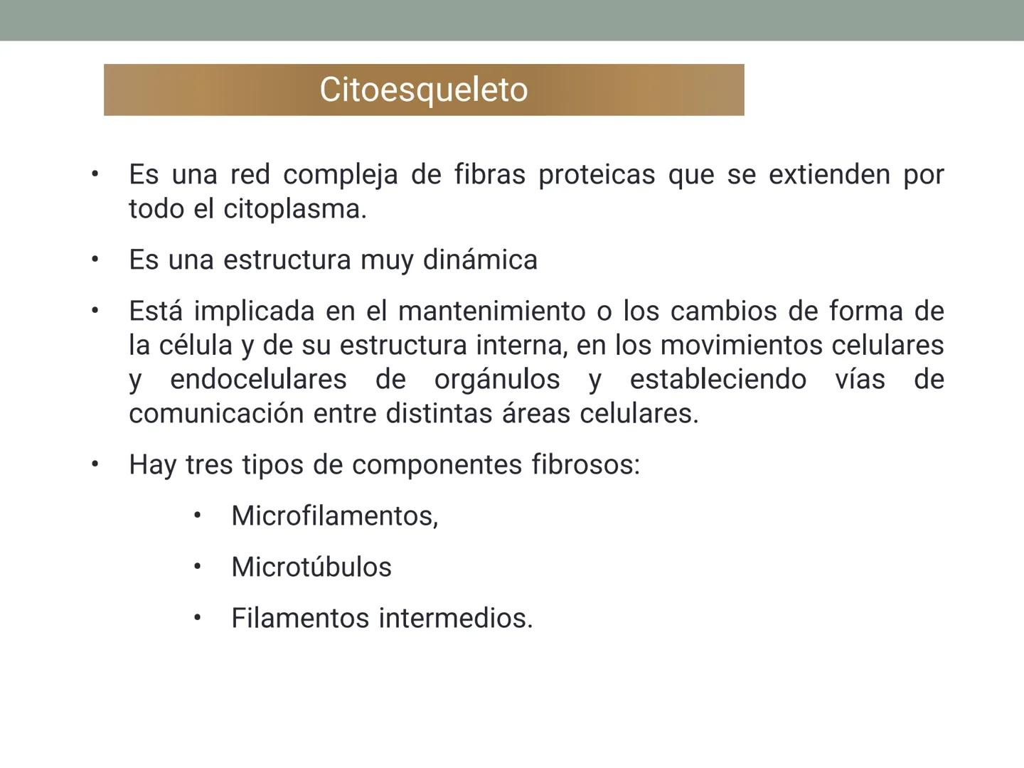 # OBJETIVOS CLASE N° 3
- Describir y explicar las principales características que definen a los células vivas.
- Identificar los principal