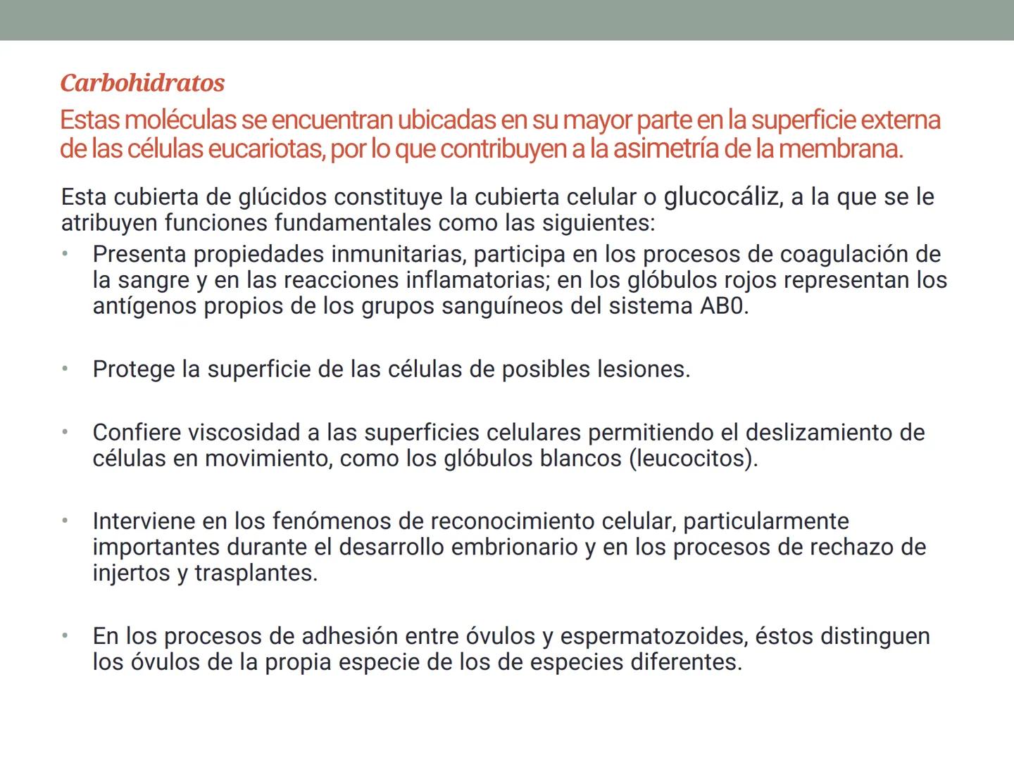 # OBJETIVOS CLASE N° 3
- Describir y explicar las principales características que definen a los células vivas.
- Identificar los principal