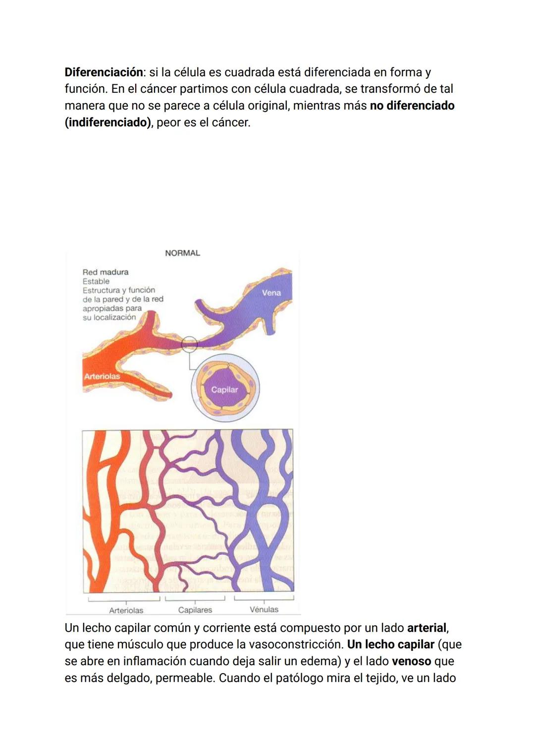 Estímulo
Factor
Agente injuriante
Fisiológica
Normal
Armónica
↑
Respuesta
Célula
Tejido
Órgano
Sistema
Organismo
Fisiopatológica
Anormal
Ina