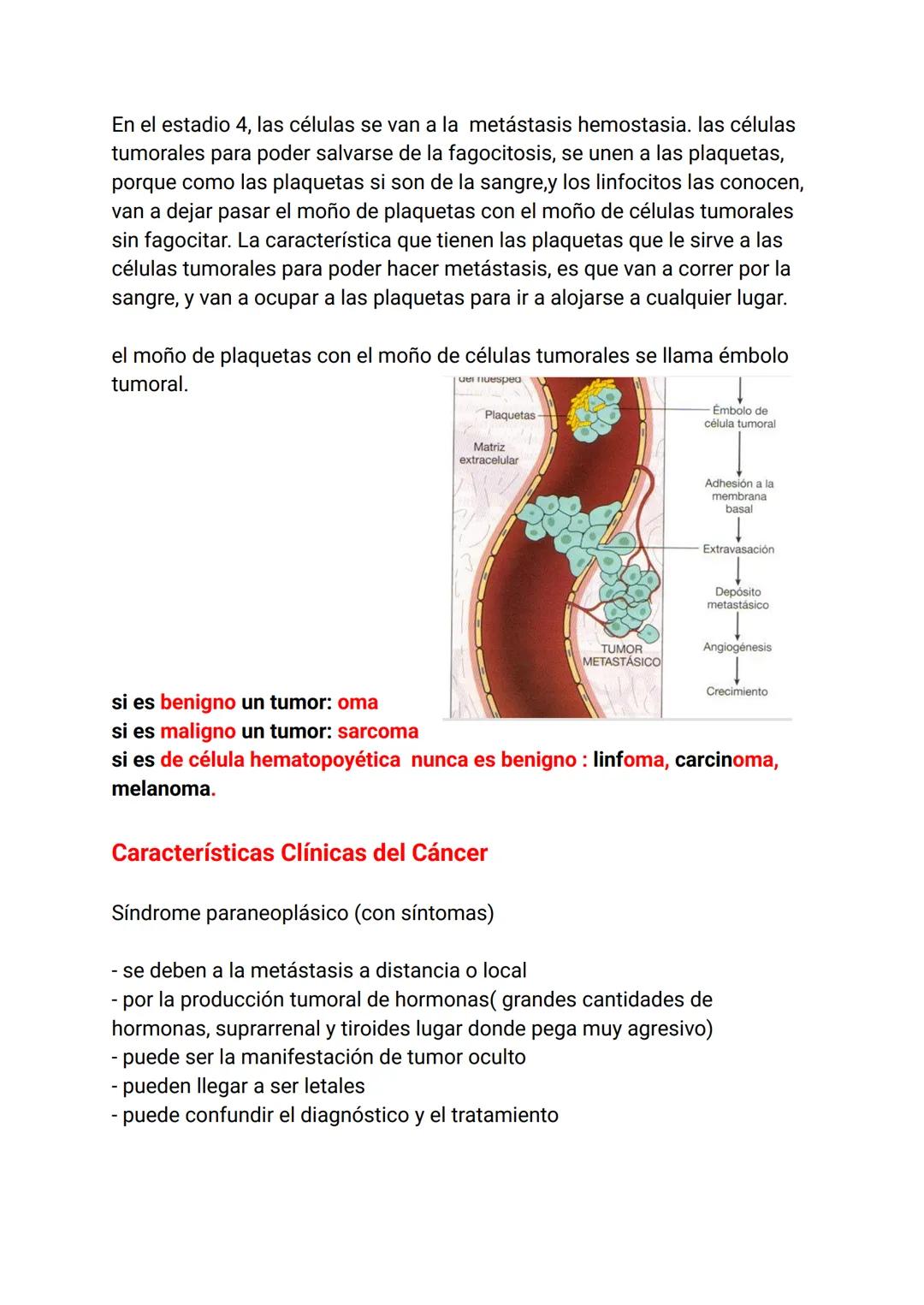 Estímulo
Factor
Agente injuriante
Fisiológica
Normal
Armónica
↑
Respuesta
Célula
Tejido
Órgano
Sistema
Organismo
Fisiopatológica
Anormal
Ina