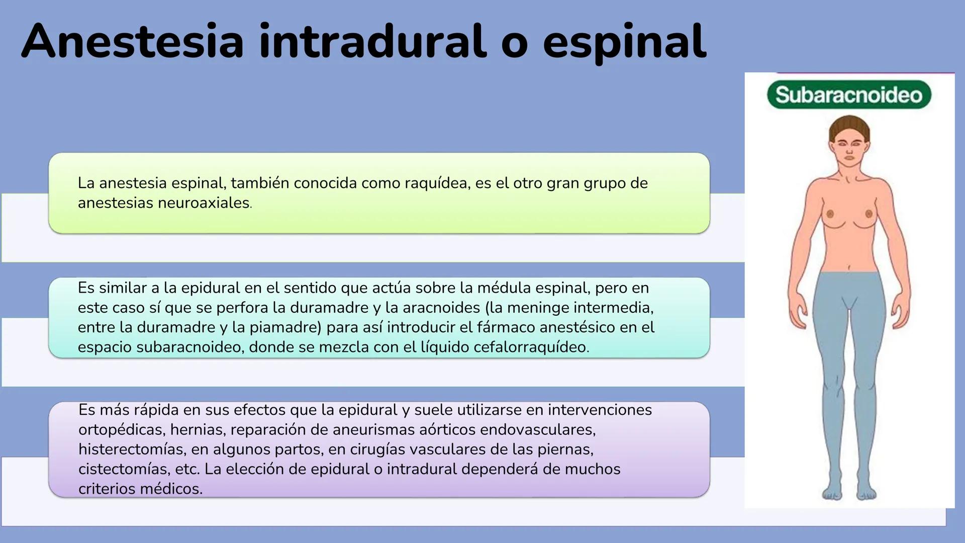 # UNIVERSIDAD
# CATÓLICA
# LA SANTÍSIMA CONCEPCIÓN
# UCSC
# ANESTESIA
# EU. Diana Beltrán M.
# El anestesista
# ¿Quién es este? # Objetivos