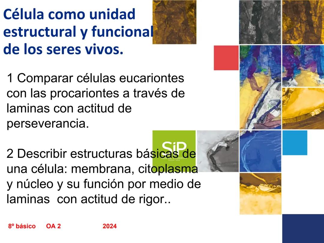 Célula como unidad estructural y funcional para los seres vivos