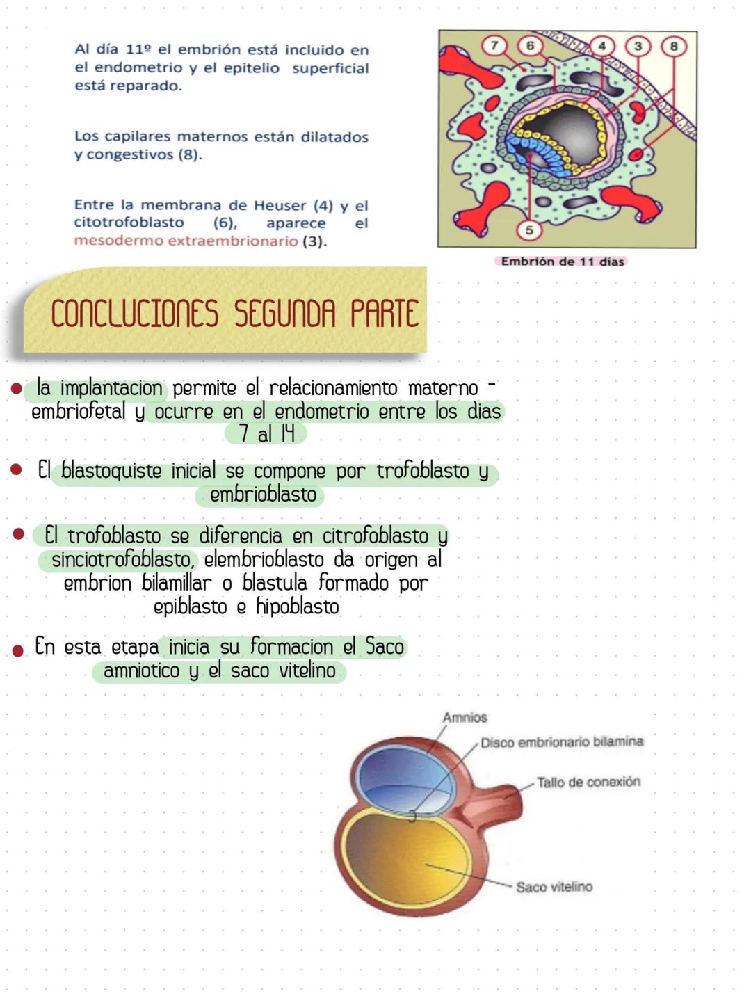 # HISTOLOGÍA COMO CIENCIAS
Rama morfologica que estudia los tejidos
y las celulas de los organismos
Ectodermo, Mesodermo, Endodermo son
las