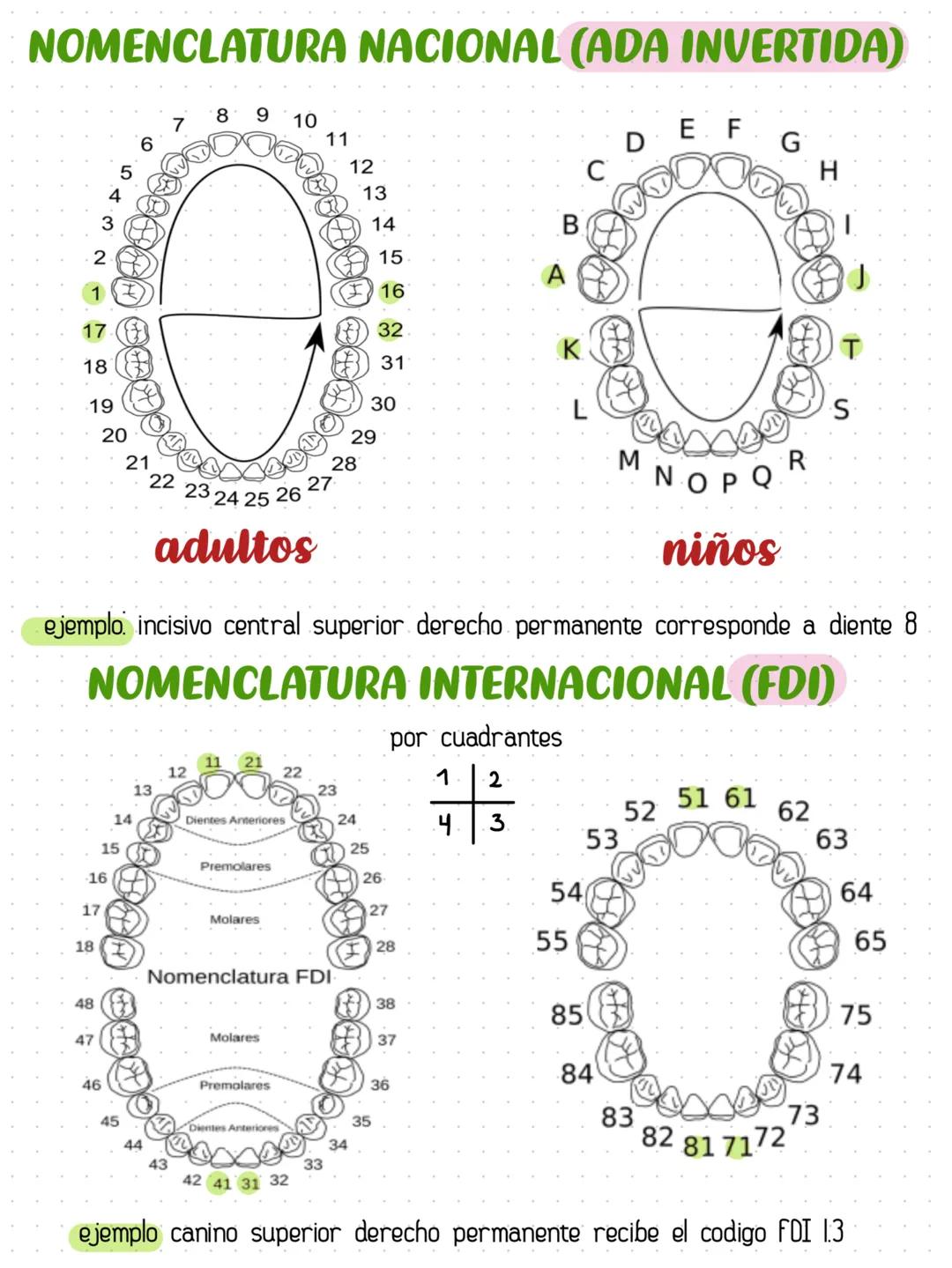 # NOMENCLATURA NACIONAL (ADA INVERTIDA)
7
8 9 10
6
11
DEF
G
5
4
12
C
H
13
3
14
B
2
15
A
1
16
17
32
K
T
18
31
19
30
L
S
20
29
21
22 23 24 25