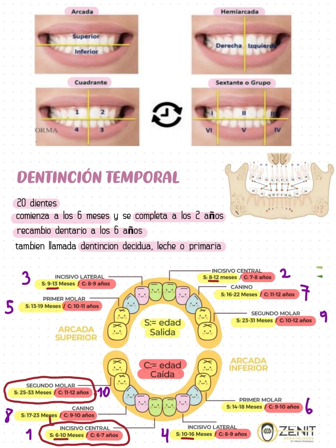 # NOMENCLATURA NACIONAL (ADA INVERTIDA)
7
8 9 10
6
11
DEF
G
5
4
12
C
H
13
3
14
B
2
15
A
1
16
17
32
K
T
18
31
19
30
L
S
20
29
21
22 23 24 25