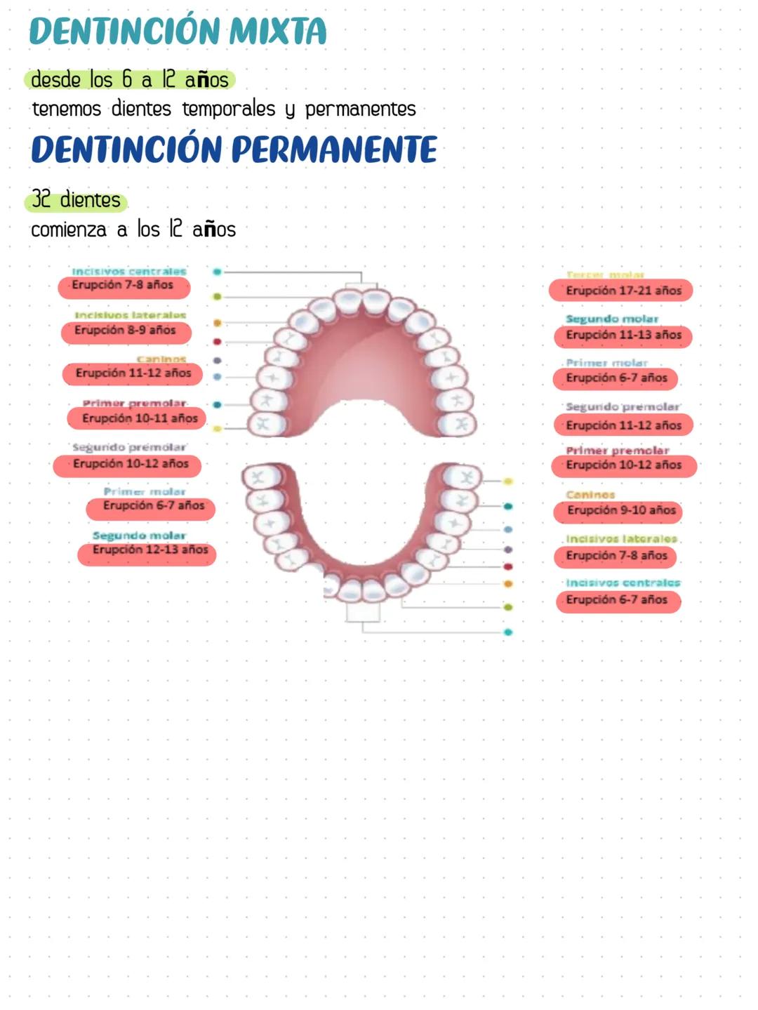 # NOMENCLATURA NACIONAL (ADA INVERTIDA)
7
8 9 10
6
11
DEF
G
5
4
12
C
H
13
3
14
B
2
15
A
1
16
17
32
K
T
18
31
19
30
L
S
20
29
21
22 23 24 25