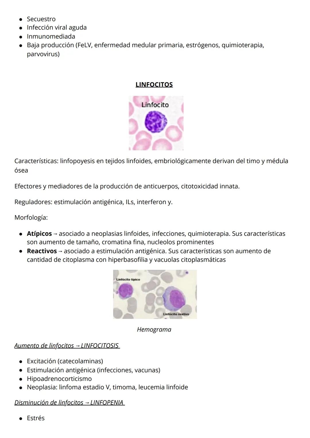 # TRASTORNOS LEUCOCICATRIOS
## NEUTRÓFILOS
<img src="neutrofilos_image.png" alt="Neutrofilos image">
Características: multilobulados (3-5