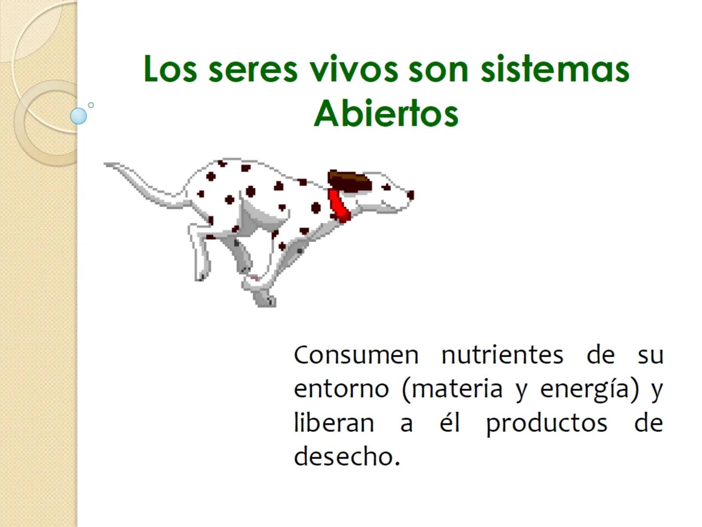Bioenergética
• Objetivo: Describir las
transformaciones, intercambio y uso de
la ENERGÍA en los seres vivos. Introducción
Los seres vivos e