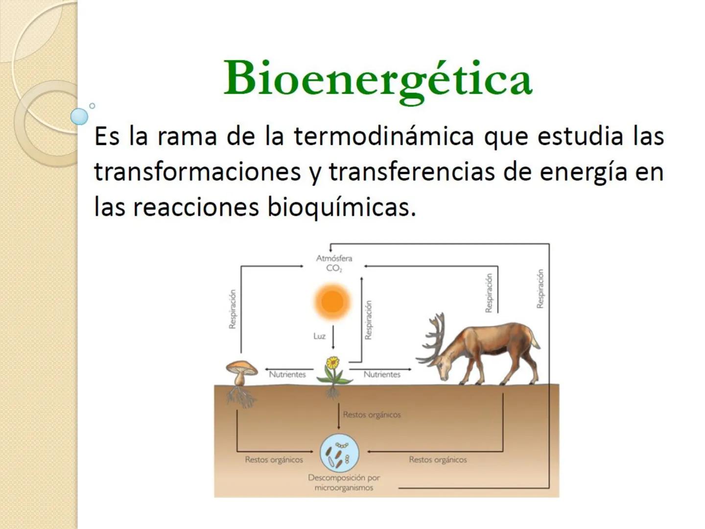 Bioenergética
• Objetivo: Describir las
transformaciones, intercambio y uso de
la ENERGÍA en los seres vivos. Introducción
Los seres vivos e