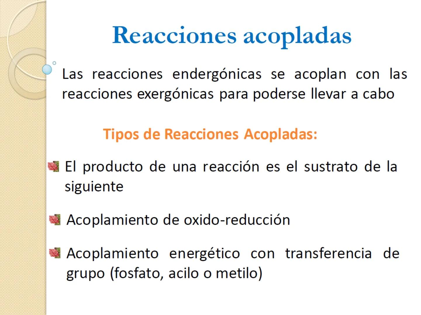 Bioenergética
• Objetivo: Describir las
transformaciones, intercambio y uso de
la ENERGÍA en los seres vivos. Introducción
Los seres vivos e