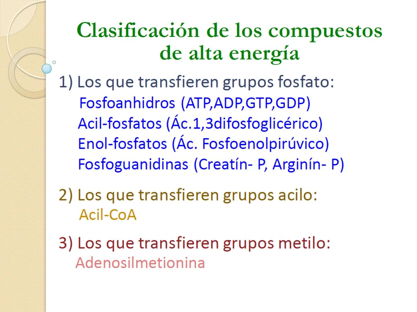 Bioenergética
• Objetivo: Describir las
transformaciones, intercambio y uso de
la ENERGÍA en los seres vivos. Introducción
Los seres vivos e