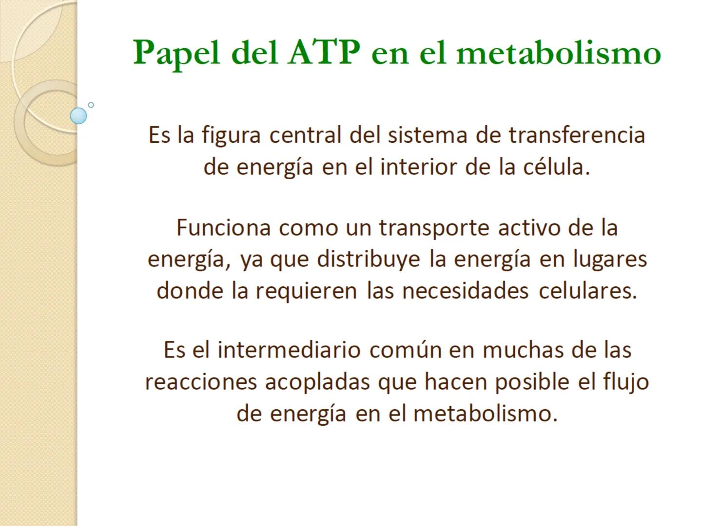Bioenergética
• Objetivo: Describir las
transformaciones, intercambio y uso de
la ENERGÍA en los seres vivos. Introducción
Los seres vivos e