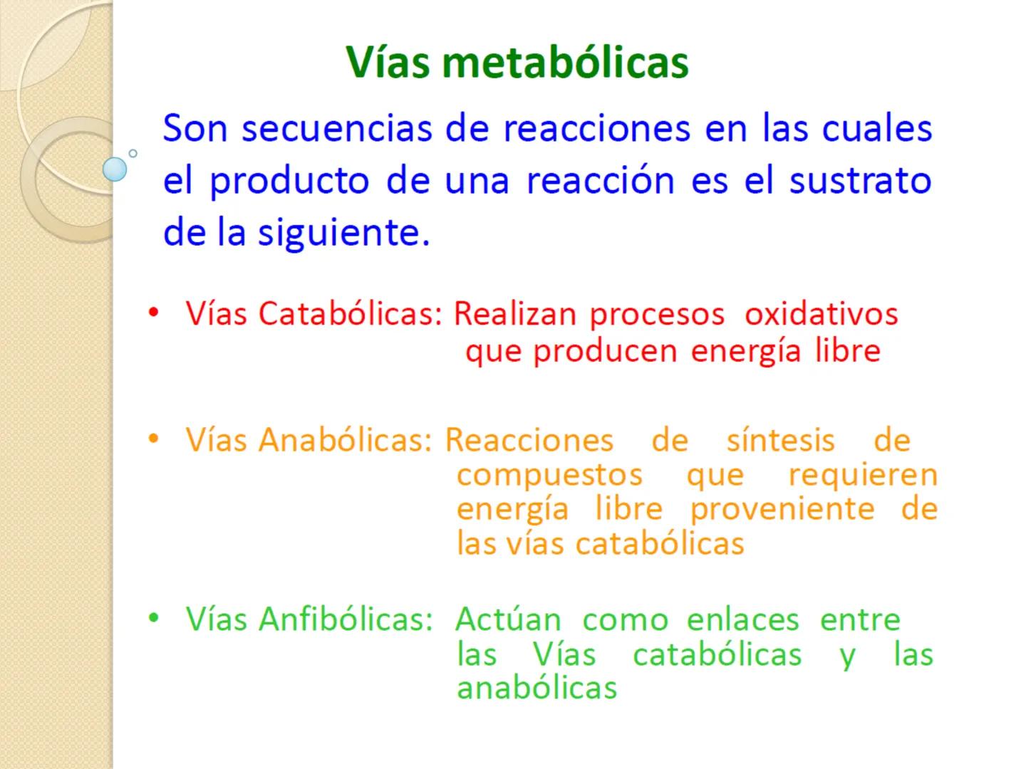 Bioenergética
• Objetivo: Describir las
transformaciones, intercambio y uso de
la ENERGÍA en los seres vivos. Introducción
Los seres vivos e