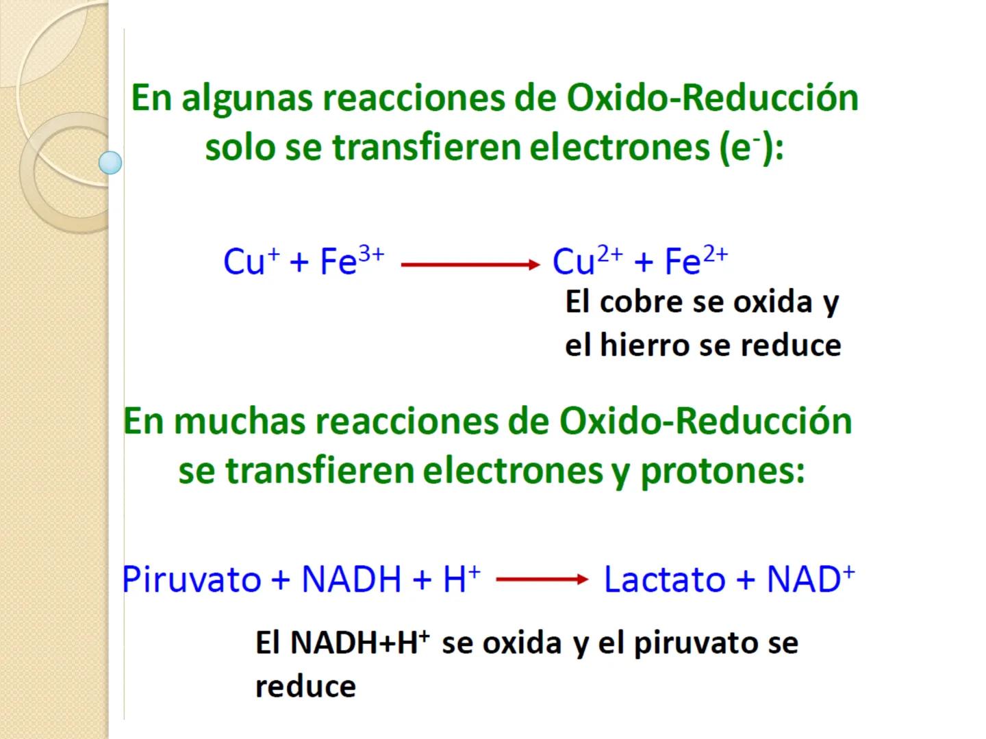 Bioenergética
• Objetivo: Describir las
transformaciones, intercambio y uso de
la ENERGÍA en los seres vivos. Introducción
Los seres vivos e