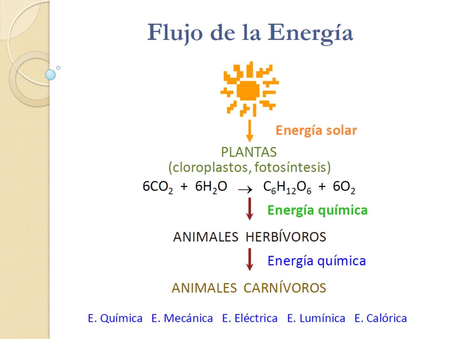 Bioenergética
• Objetivo: Describir las
transformaciones, intercambio y uso de
la ENERGÍA en los seres vivos. Introducción
Los seres vivos e