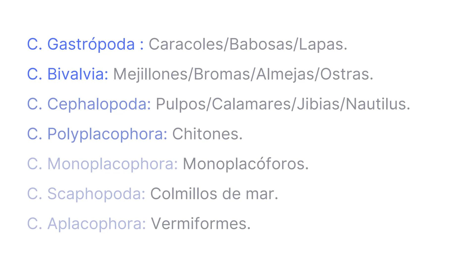 PHYLUM MOLLUSCA
MOLLIS: BLANDO, SUAVE
CARACTERÍSTICAS GENERALES:
-Celomados (Esquizocelomados)
-Sin segmentación.
-Simetría bilateral.
-Trib