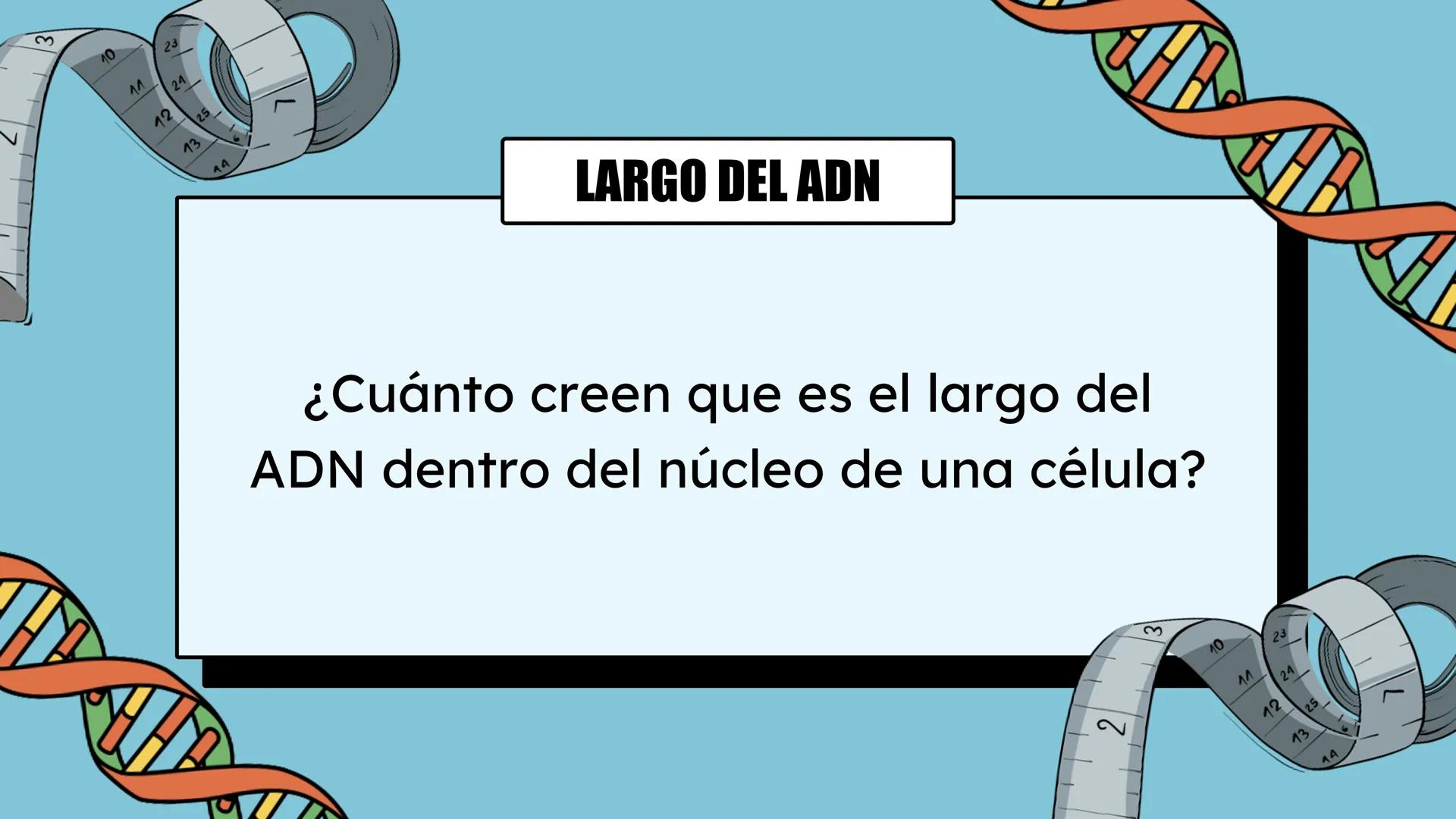 # Preguntas
¿Qué hay en tu cuerpo que te hace quien eres?
¿Qué te hace distinta de tu compañera?
¿De dónde crees que proviene esta inform