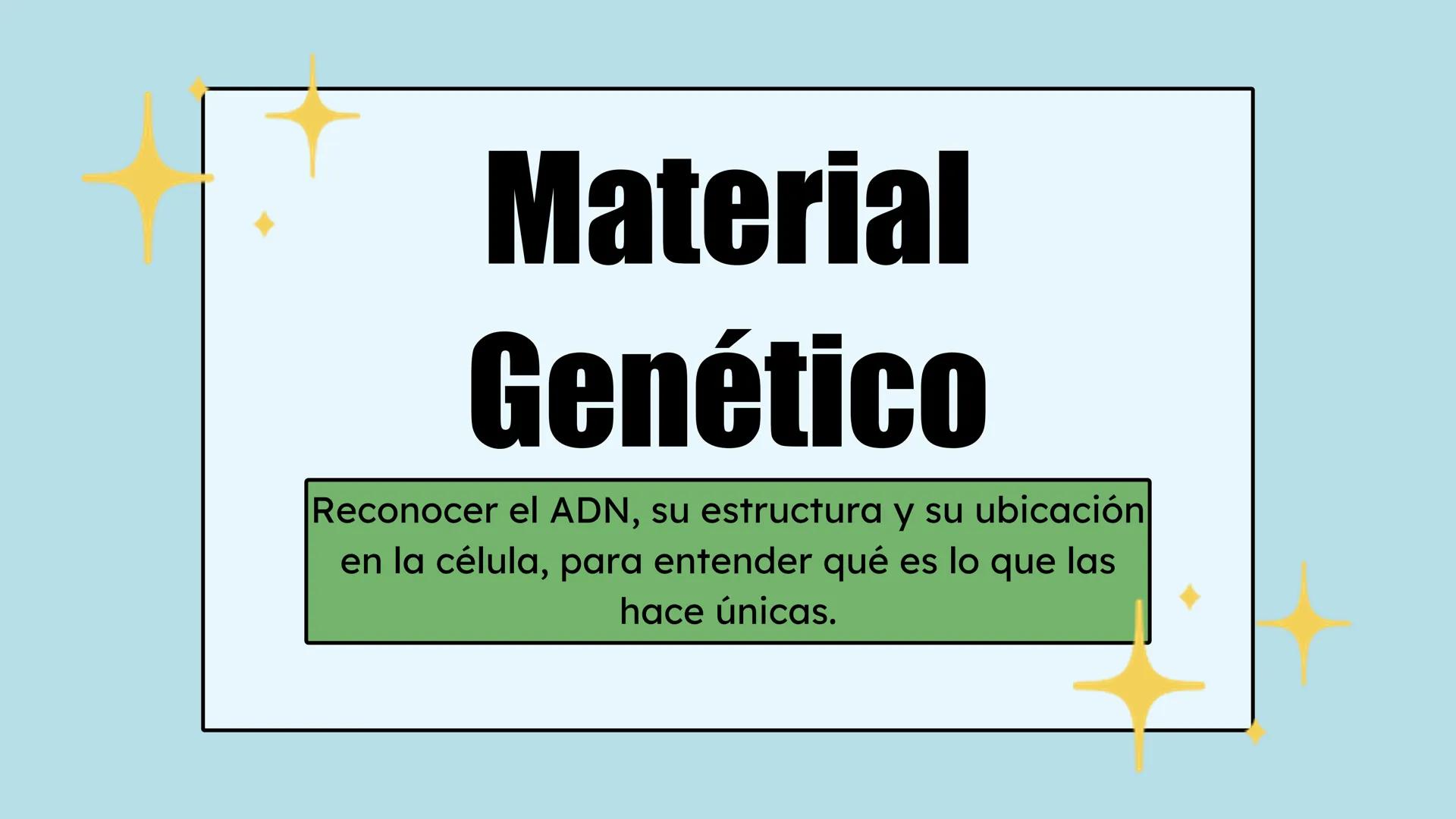 # Preguntas
¿Qué hay en tu cuerpo que te hace quien eres?
¿Qué te hace distinta de tu compañera?
¿De dónde crees que proviene esta inform