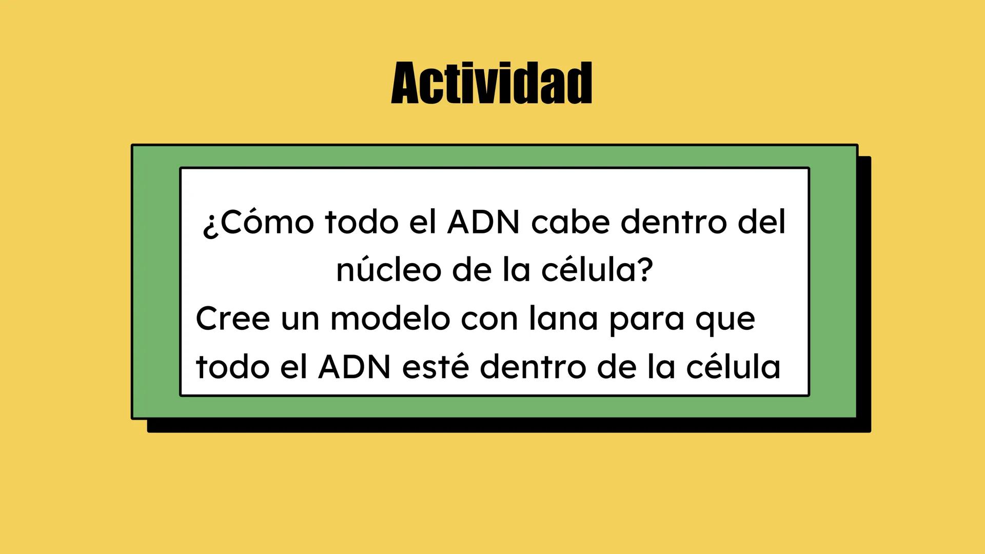 # Preguntas
¿Qué hay en tu cuerpo que te hace quien eres?
¿Qué te hace distinta de tu compañera?
¿De dónde crees que proviene esta inform