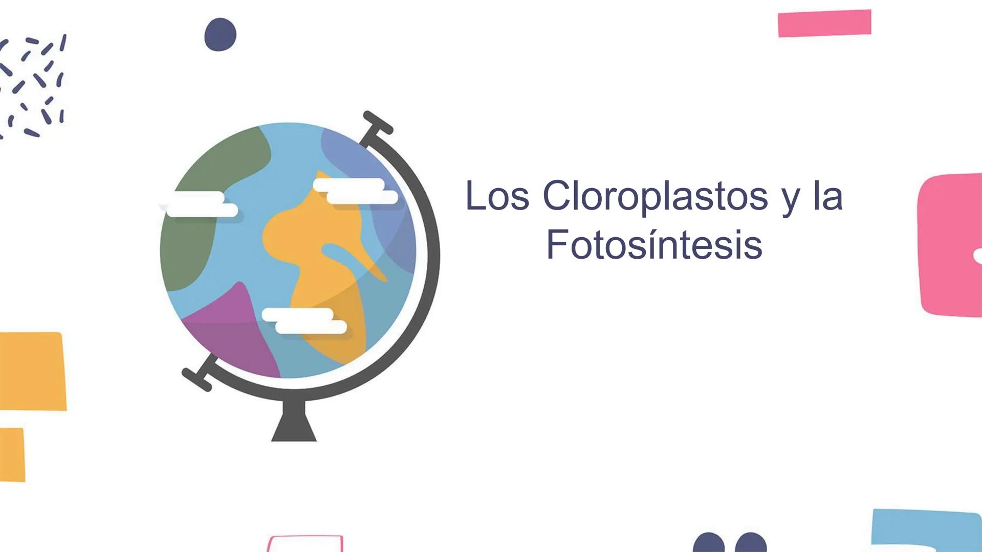 # Los Cloroplastos y la Fotosíntesis --- OCR Start ---
Introducción a los Cloroplastos
• Los cloroplastos es donde ocurre la fotosíntesis
•
