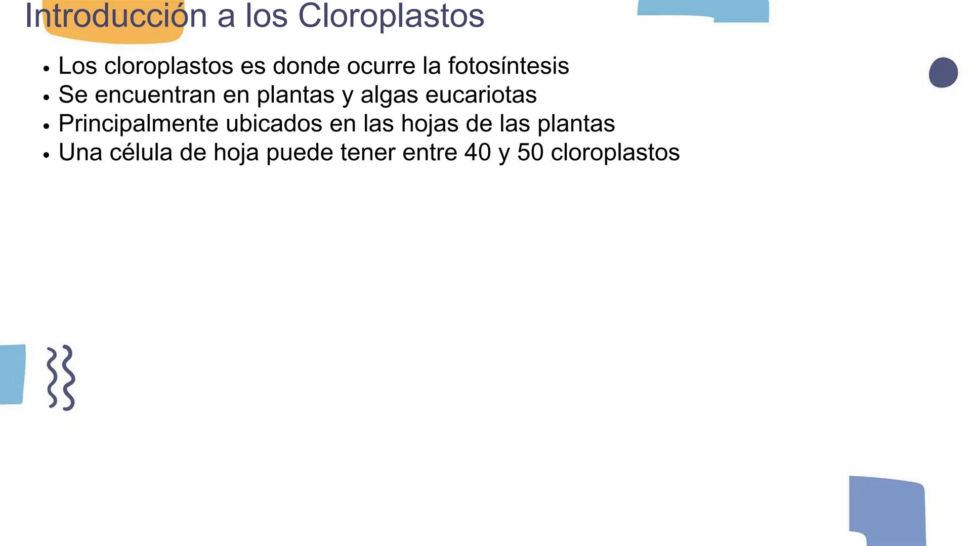 # Los Cloroplastos y la Fotosíntesis --- OCR Start ---
Introducción a los Cloroplastos
• Los cloroplastos es donde ocurre la fotosíntesis
•